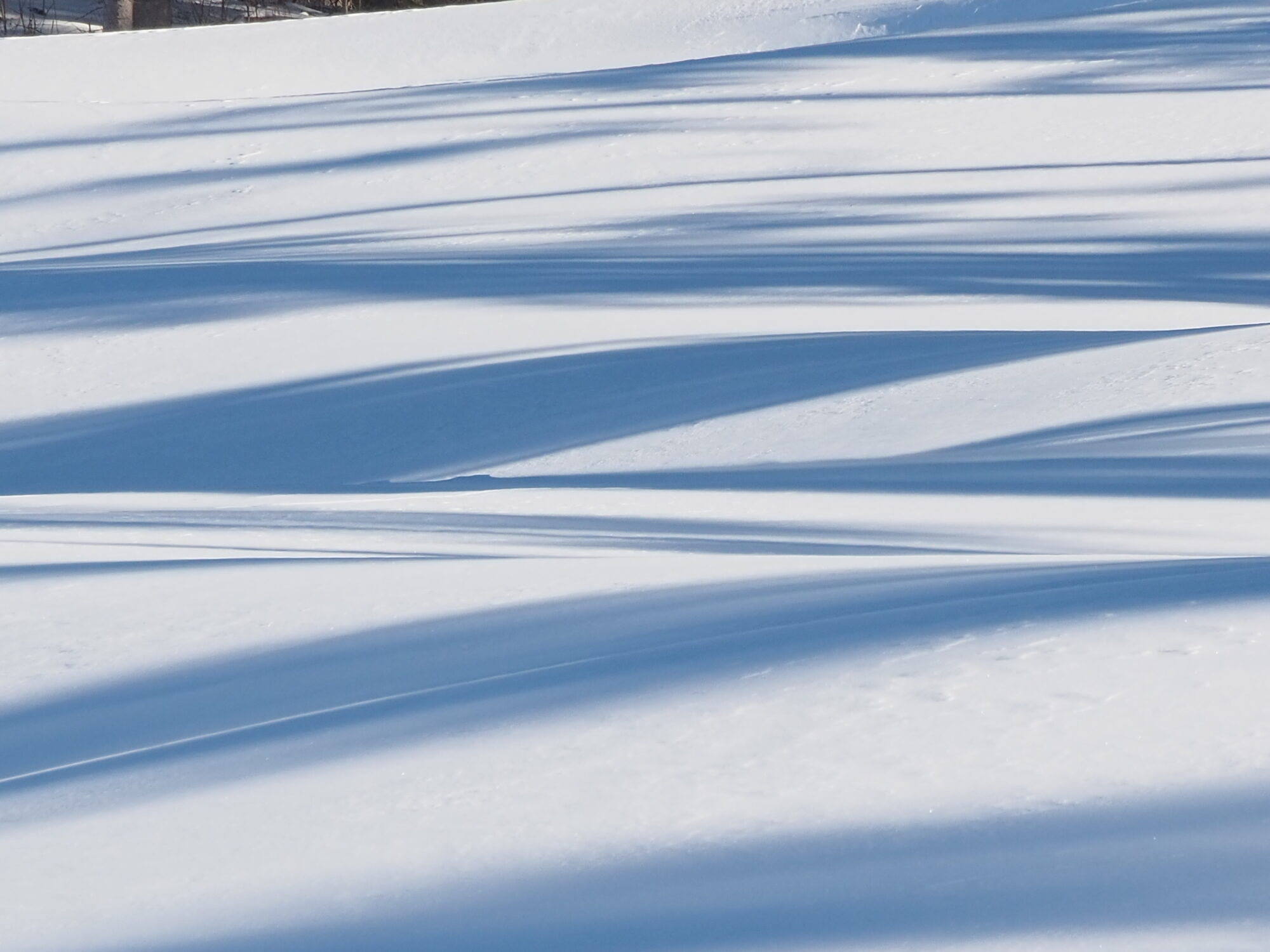 Valokuvaaja: Martti Valtonen