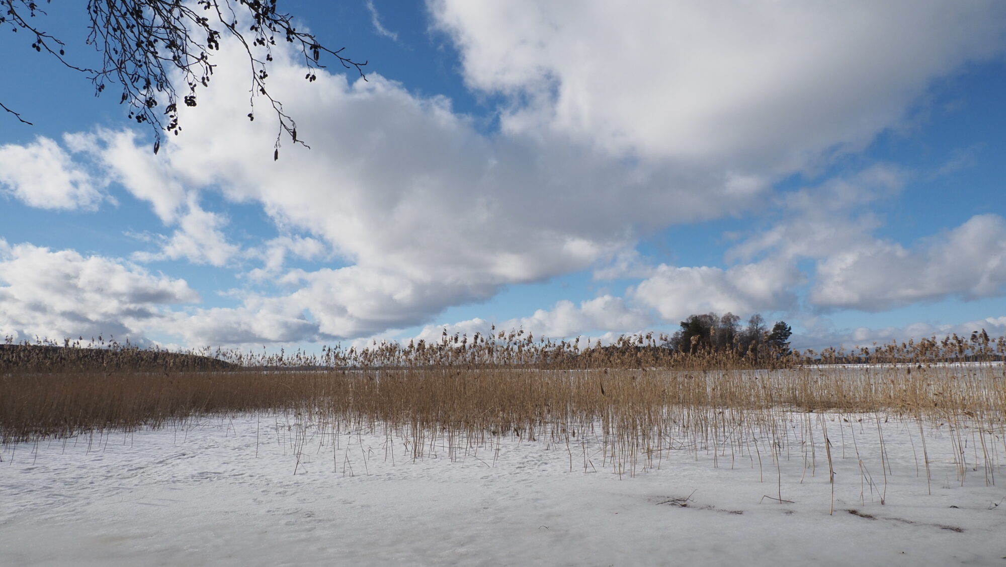 Valokuvaaja: Arja Valtonen