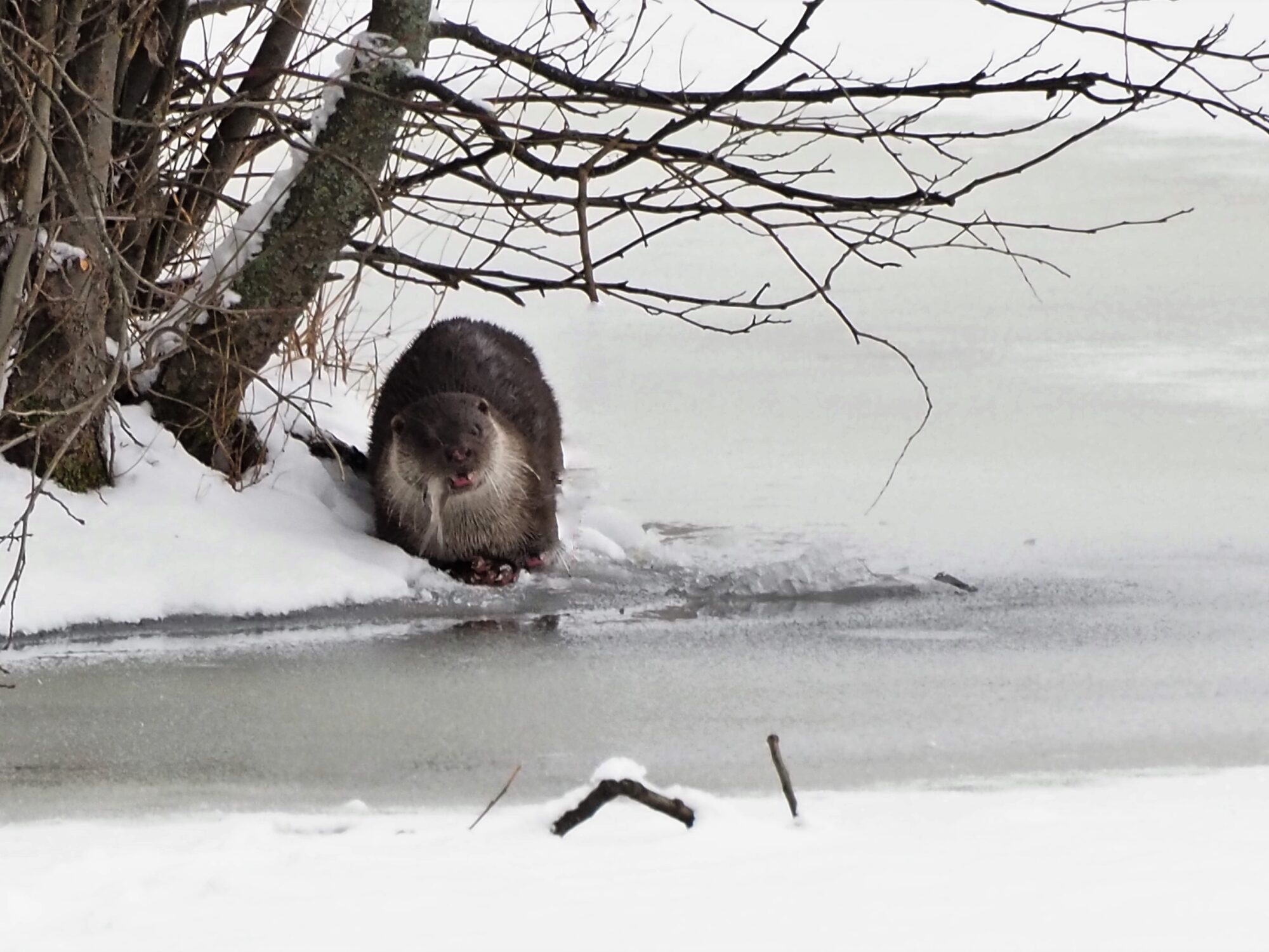 Valokuvaaja: Martti Valtonen