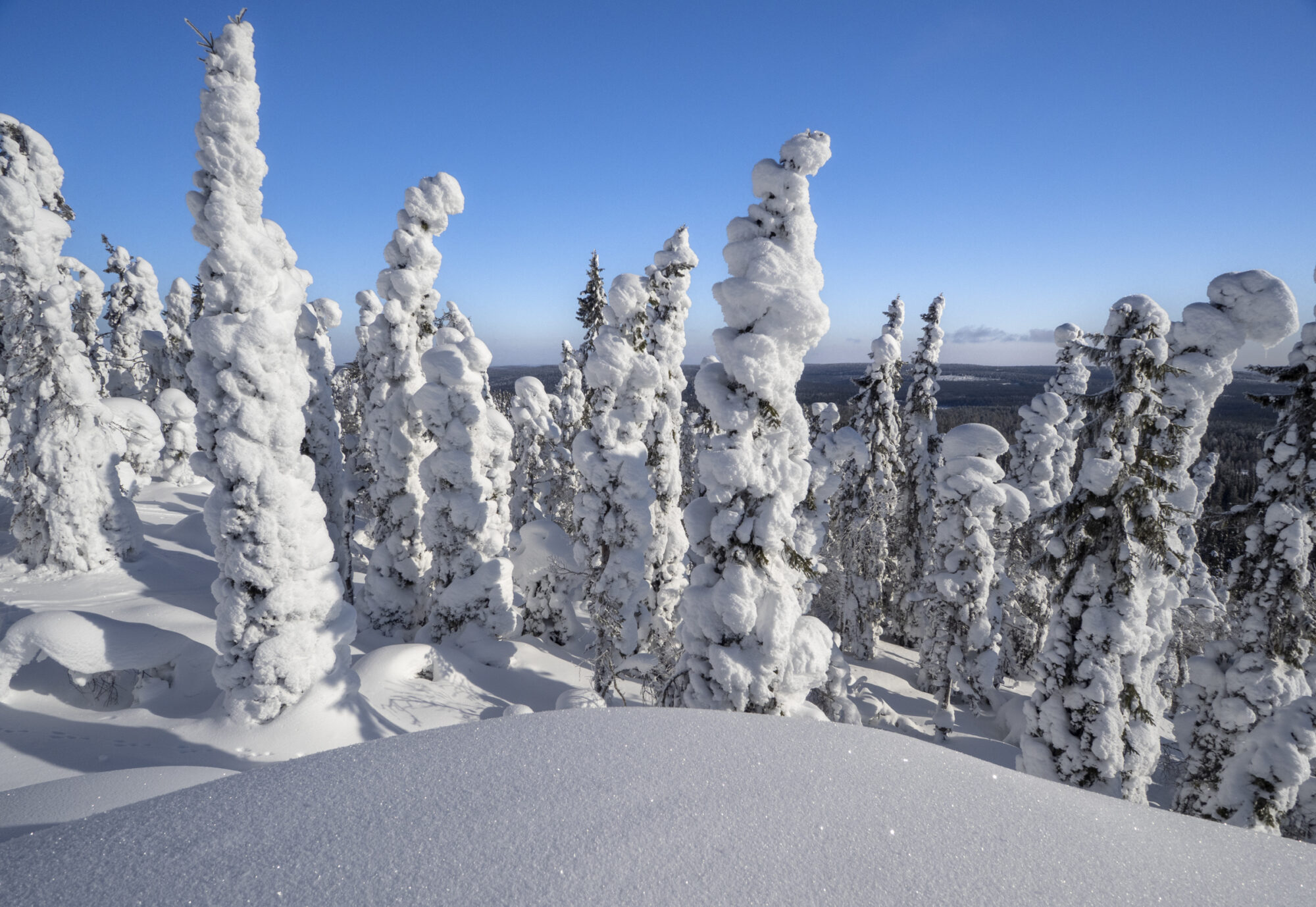 Valokuvaaja: Hannu Tikkanen