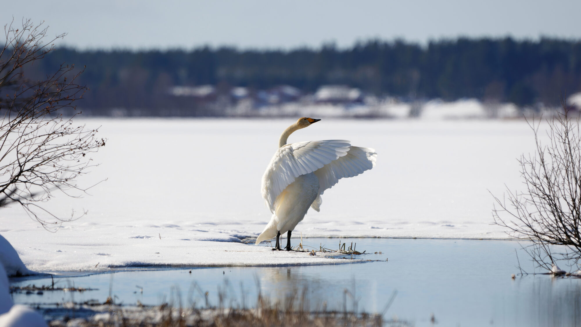 Valokuvaaja: TOMMI KUJALA