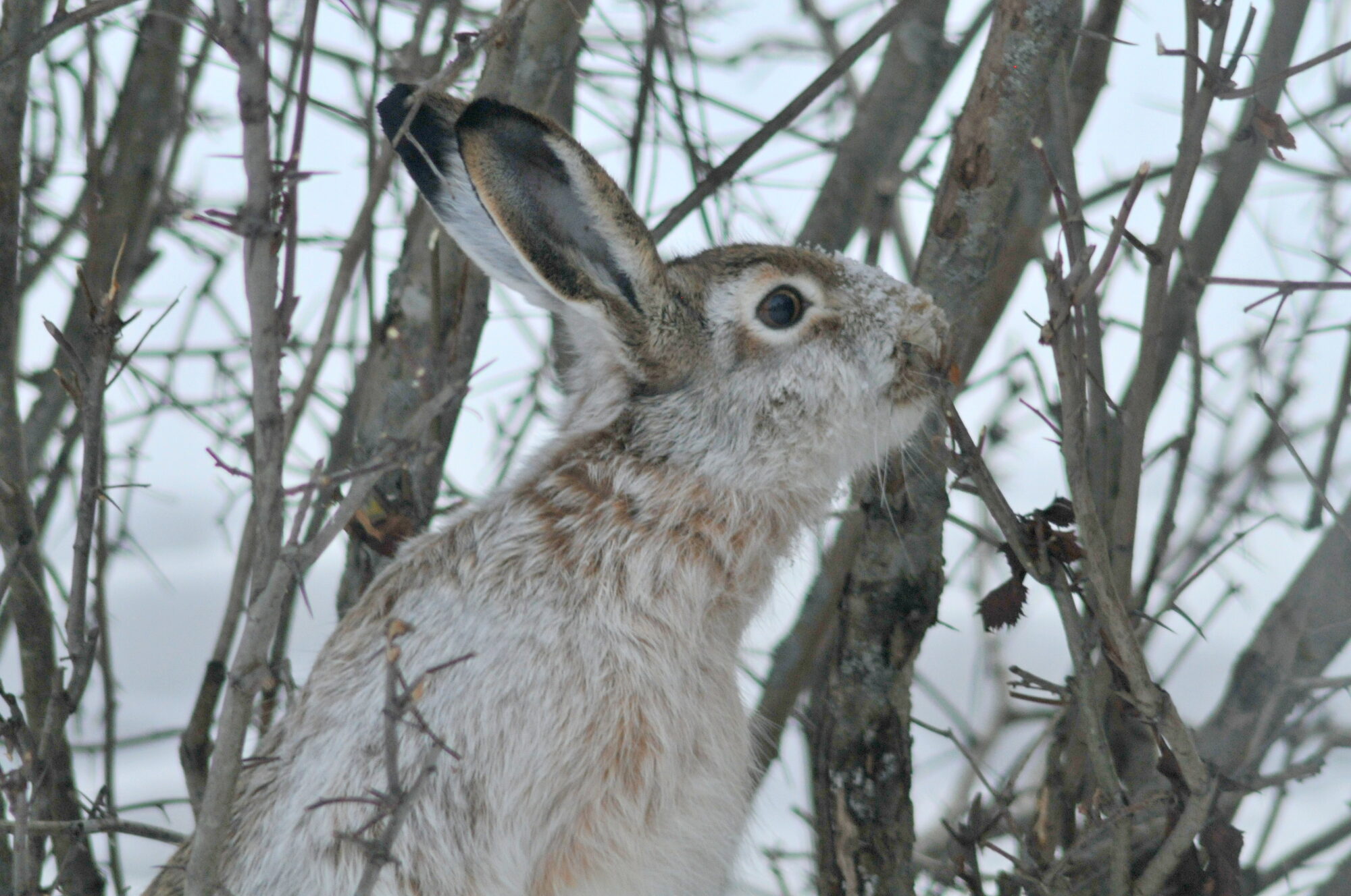 Valokuvaaja: Kaarlo Asikainen Valokuvaaja: Kaarlo Asikainen