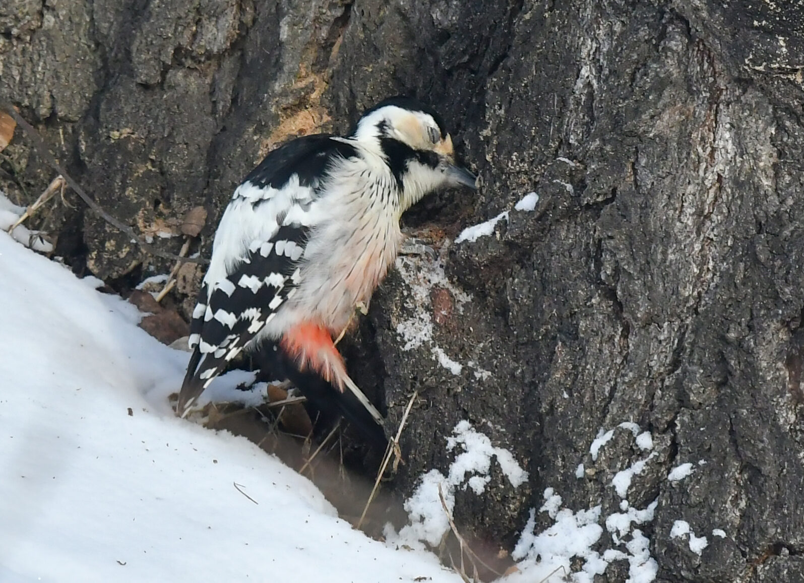 Valokuvaaja: Matti Manninen