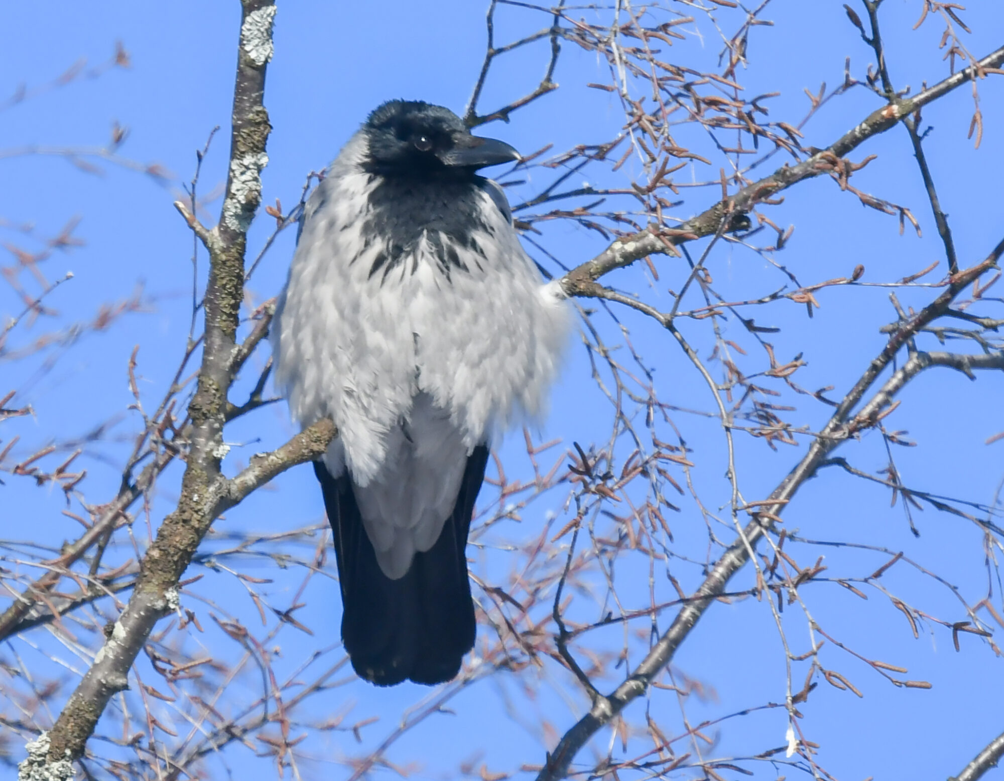 Valokuvaaja: Matti Manninen