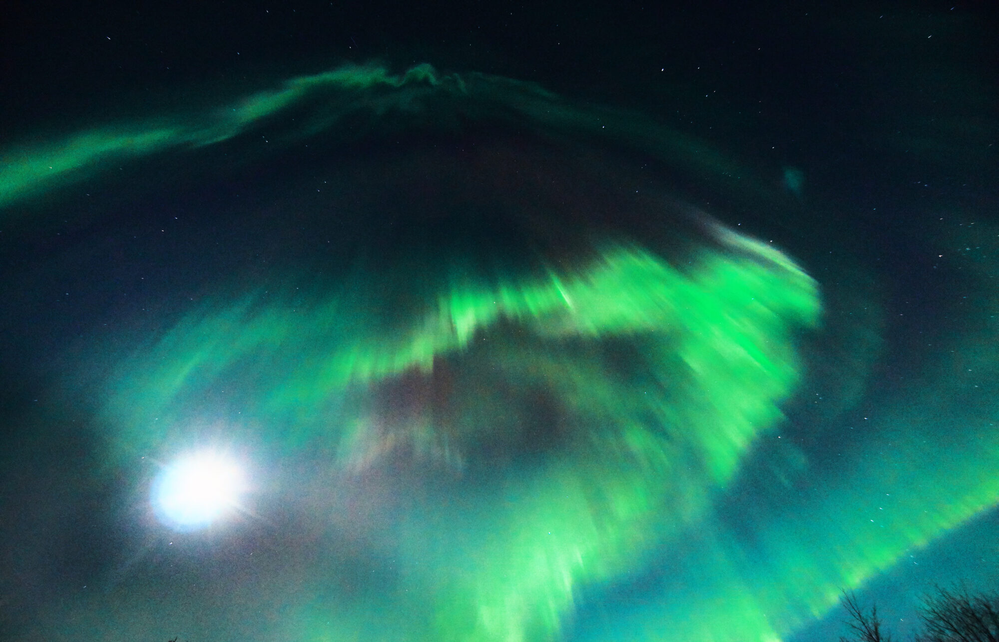 Valokuvaaja: Tarja Kouvo