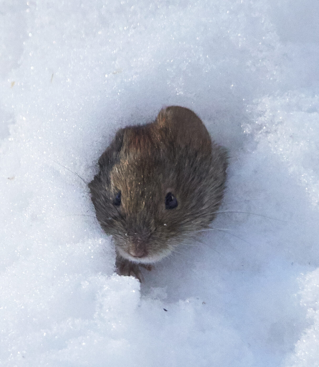 Valokuvaaja: Tarja Kouvo
