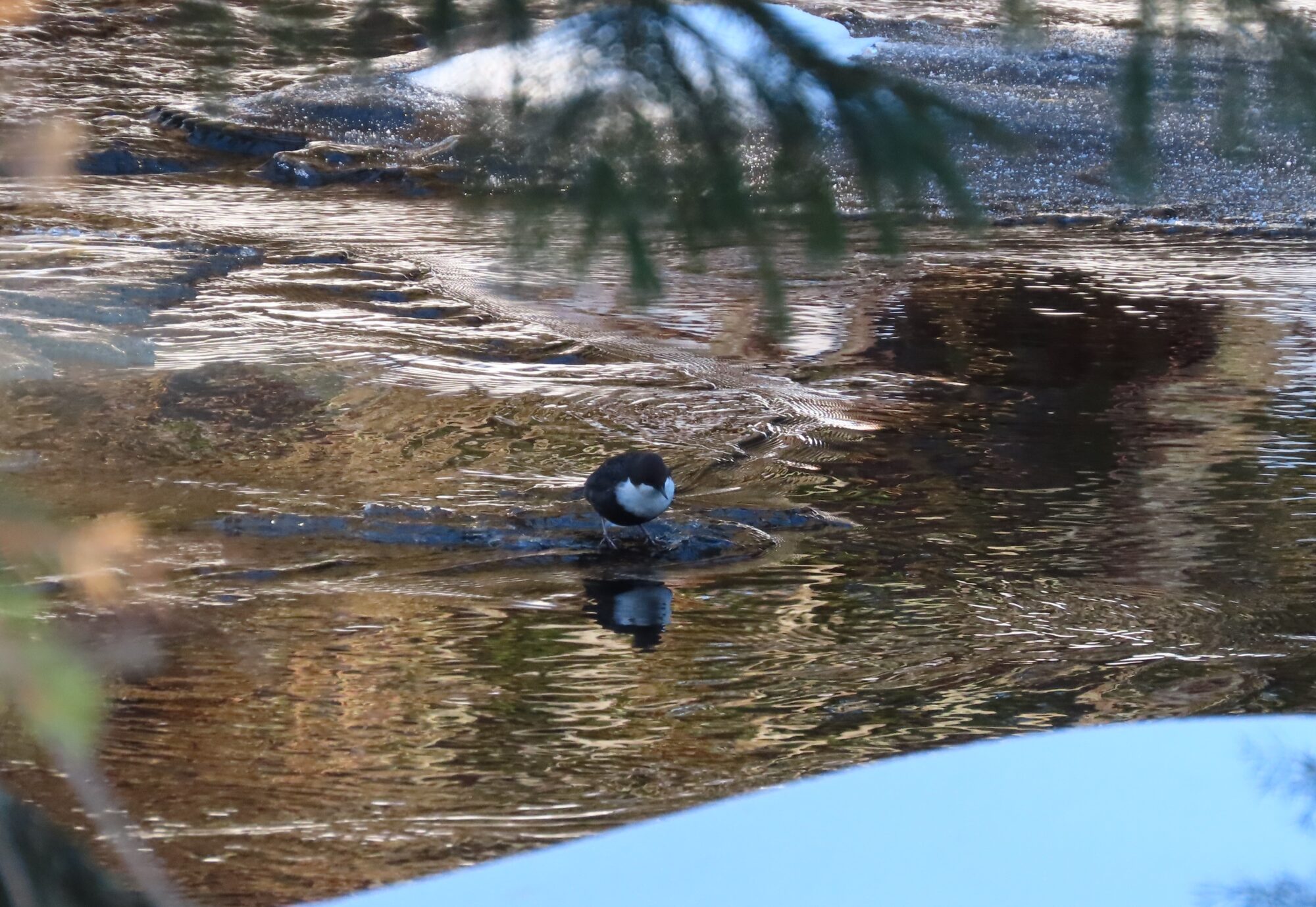 Valokuvaaja: Mirja Suoknuuti