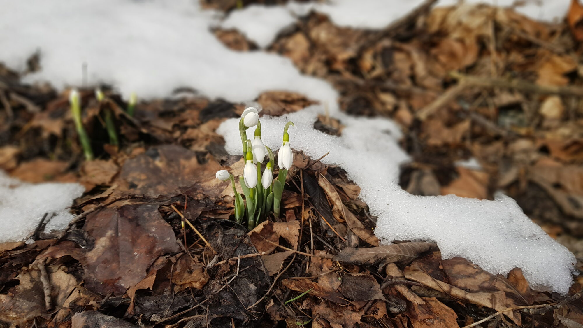 Valokuvaaja: Jouni Uski