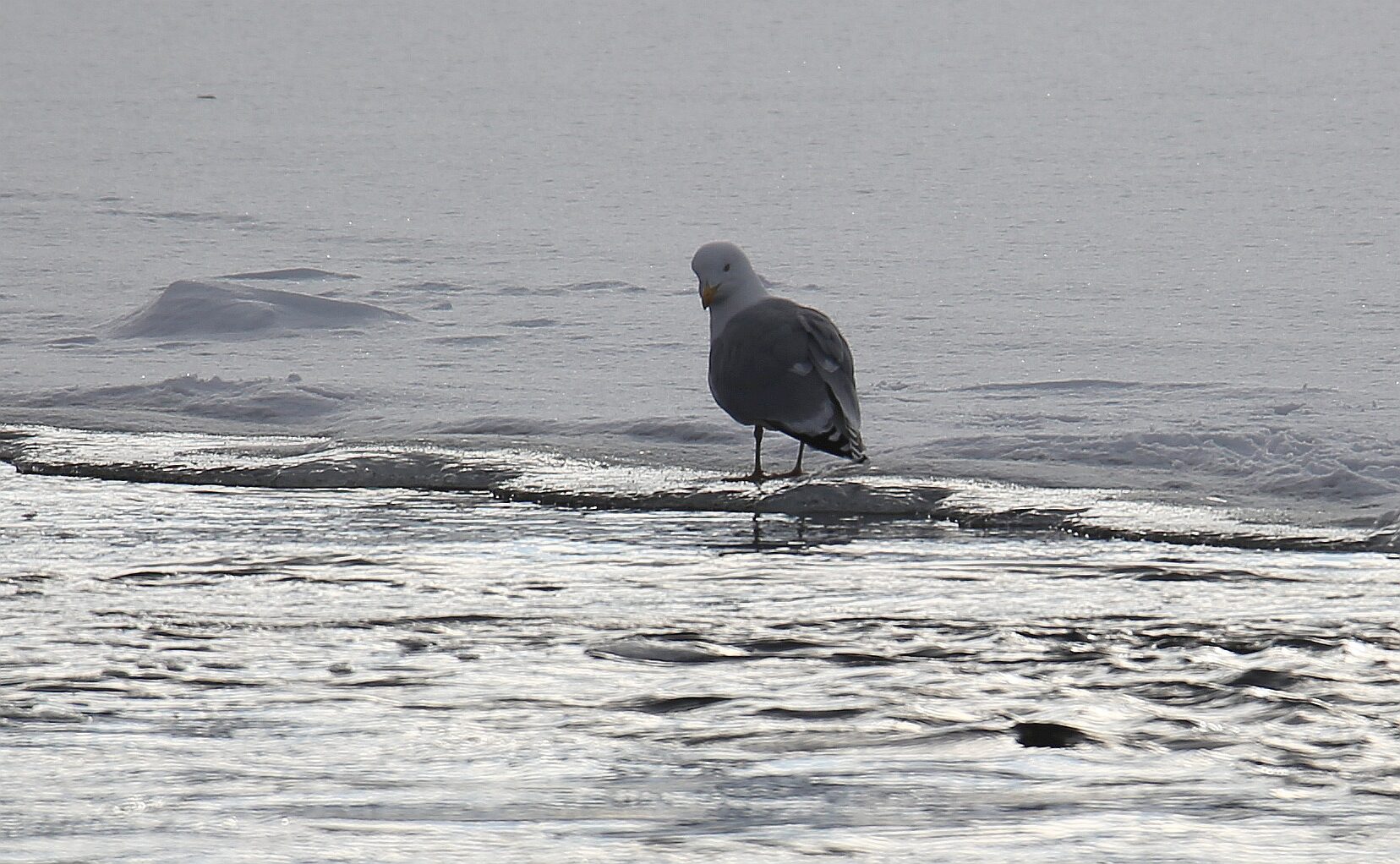 Valokuvaaja: Jaana Saarelainen