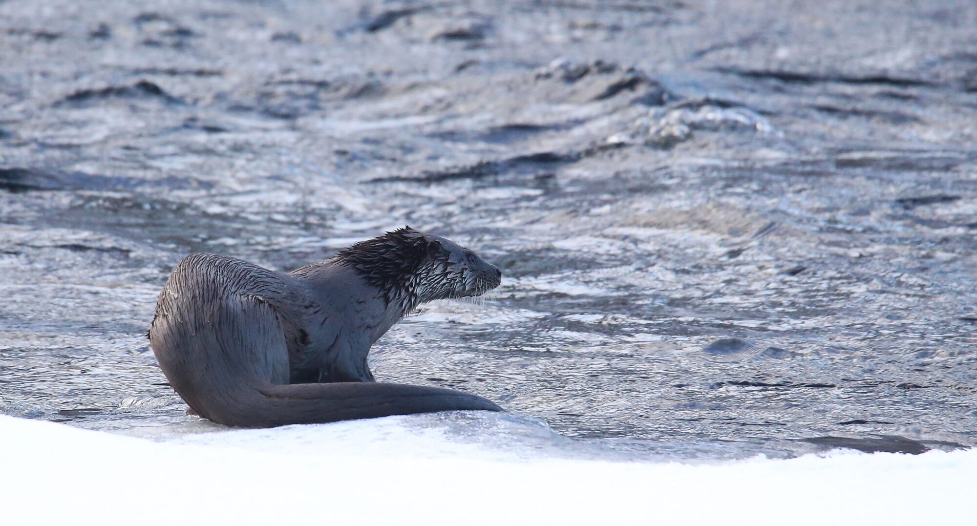 Valokuvaaja: Jaana Saarelainen