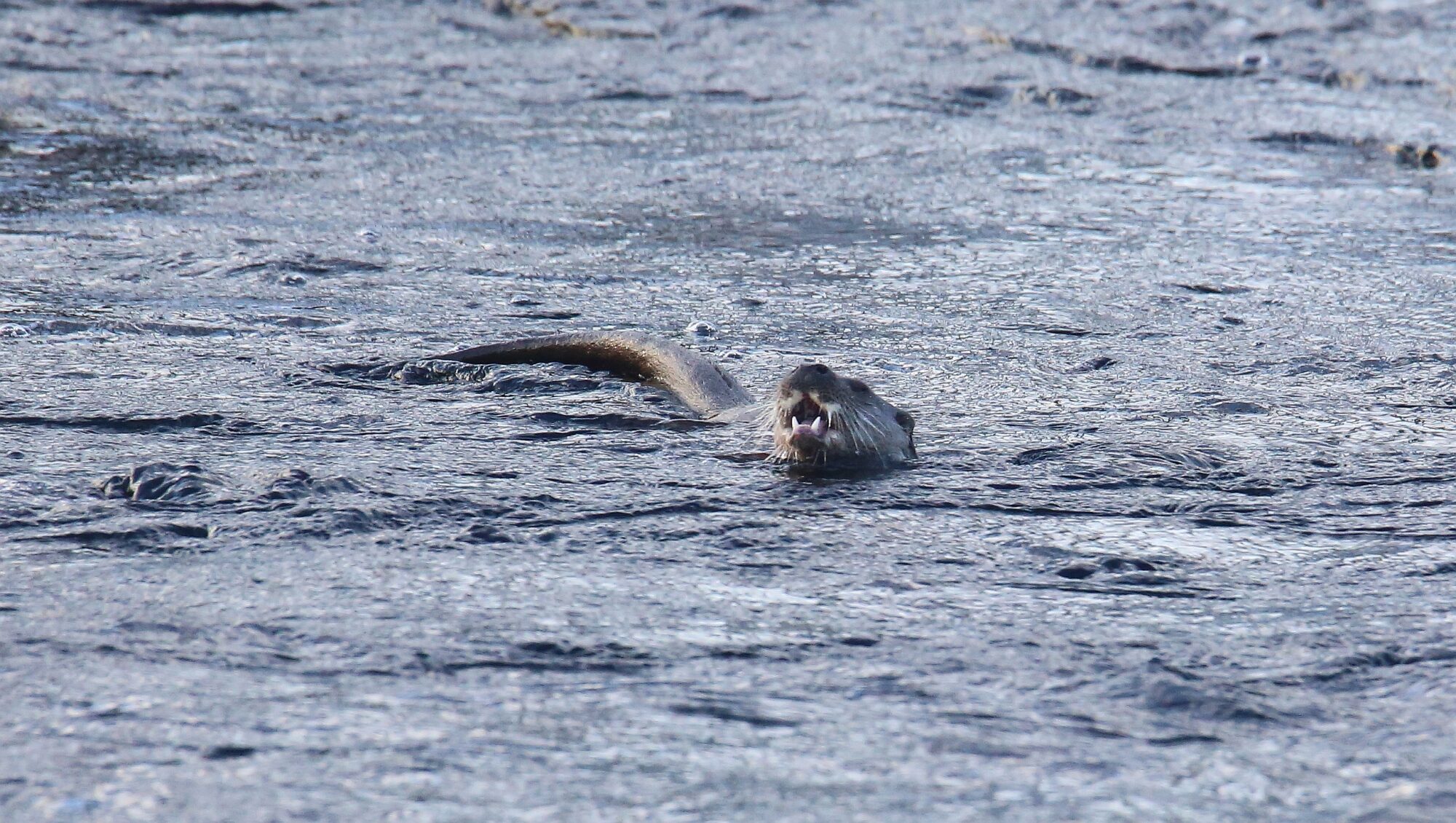 Valokuvaaja: Jaana Saarelainen