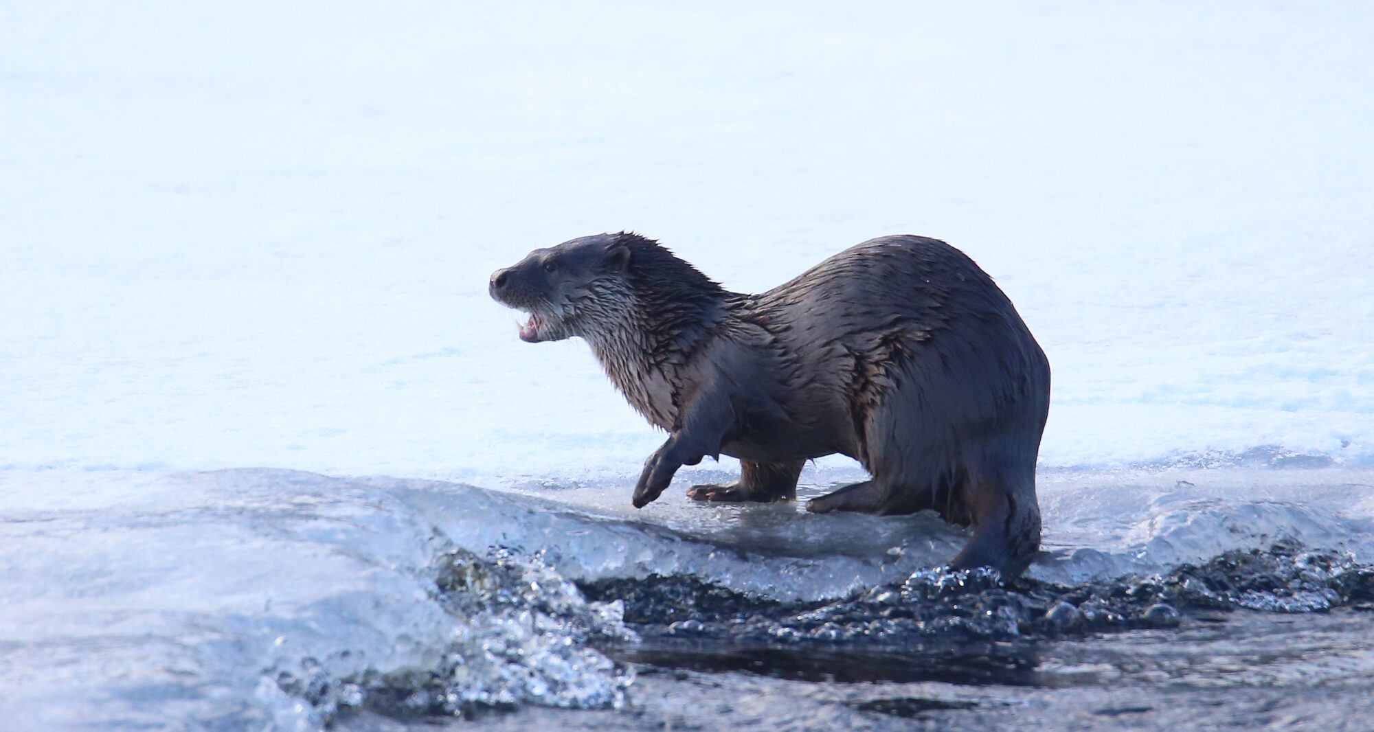 Valokuvaaja: Jaana Saarelainen