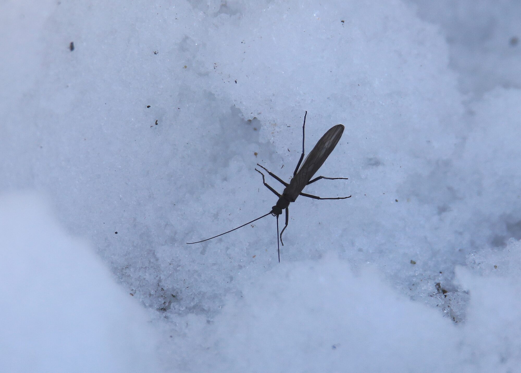 Valokuvaaja: Jaana Saarelainen