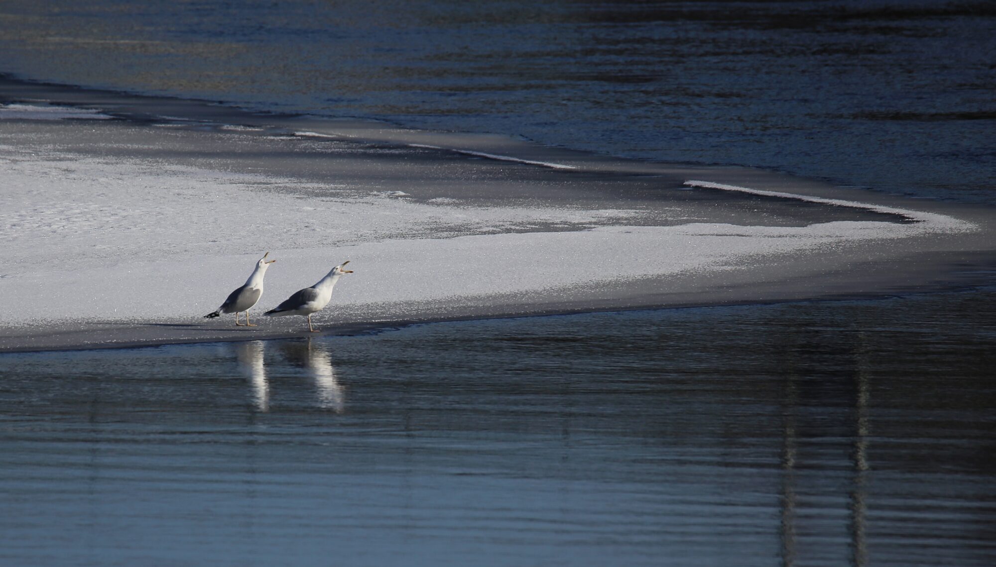 Valokuvaaja: Jaana Saarelainen