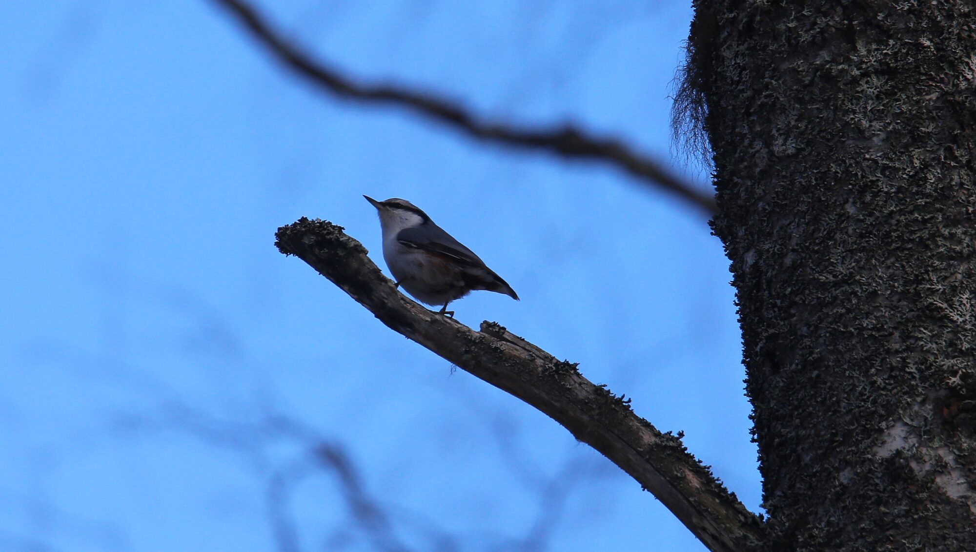 Valokuvaaja: Jaana Saarelainen Valokuvaaja: Jaana Saarelainen