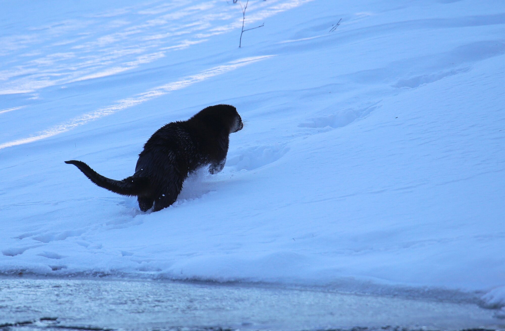 Valokuvaaja: Jaana Saarelainen