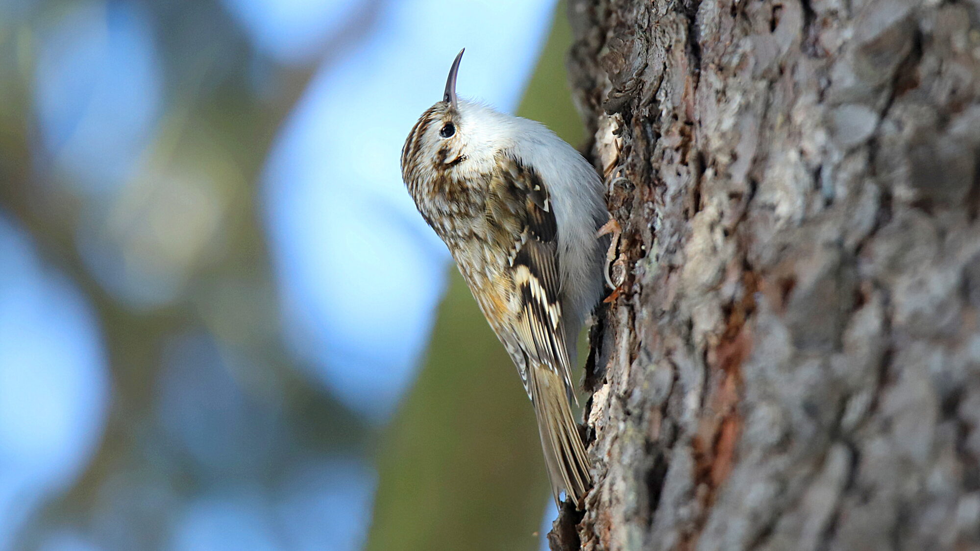 Valokuvaaja: sirpa Jyske