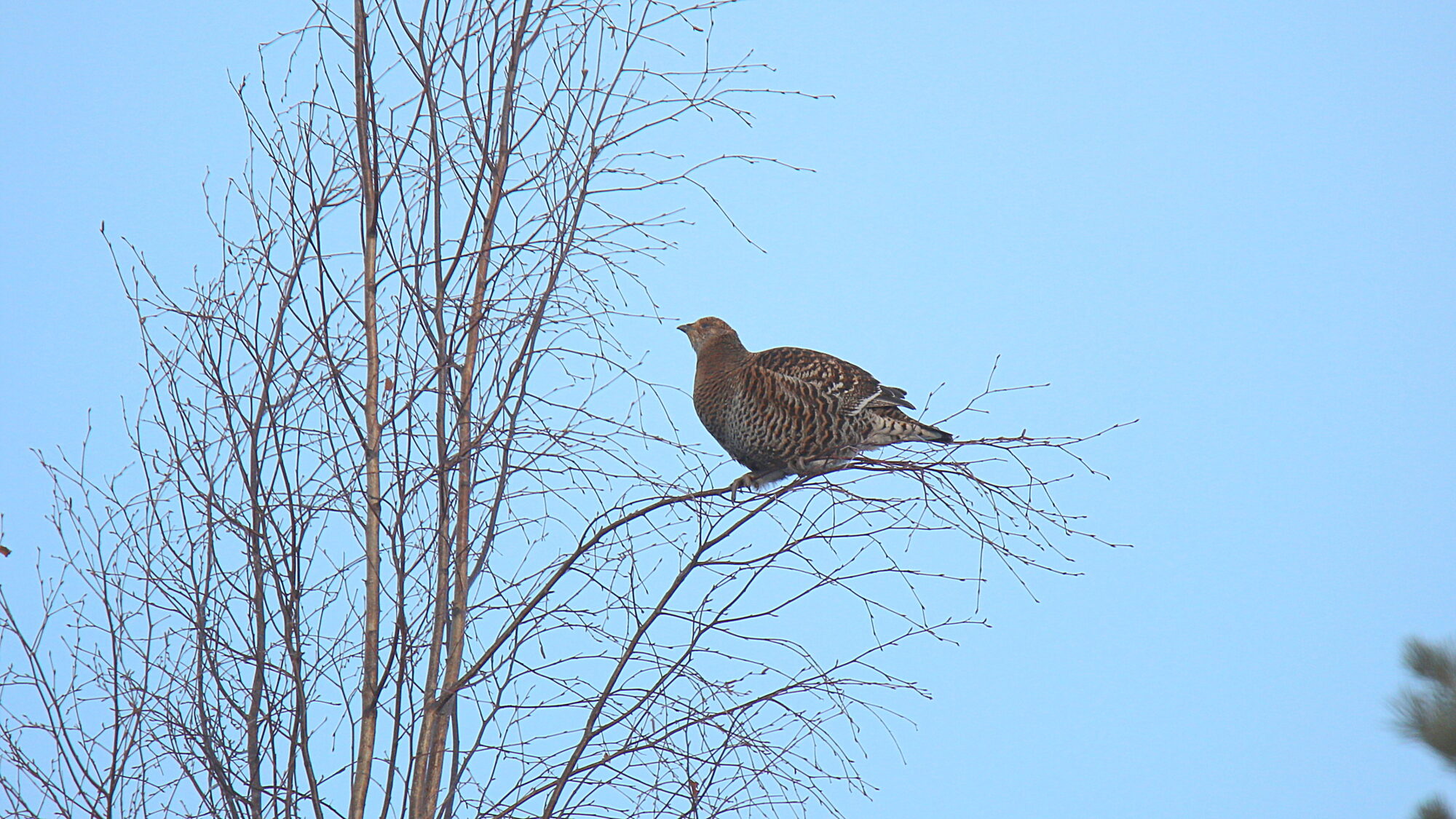Valokuvaaja: sirpa Jyske Valokuvaaja: sirpa Jyske