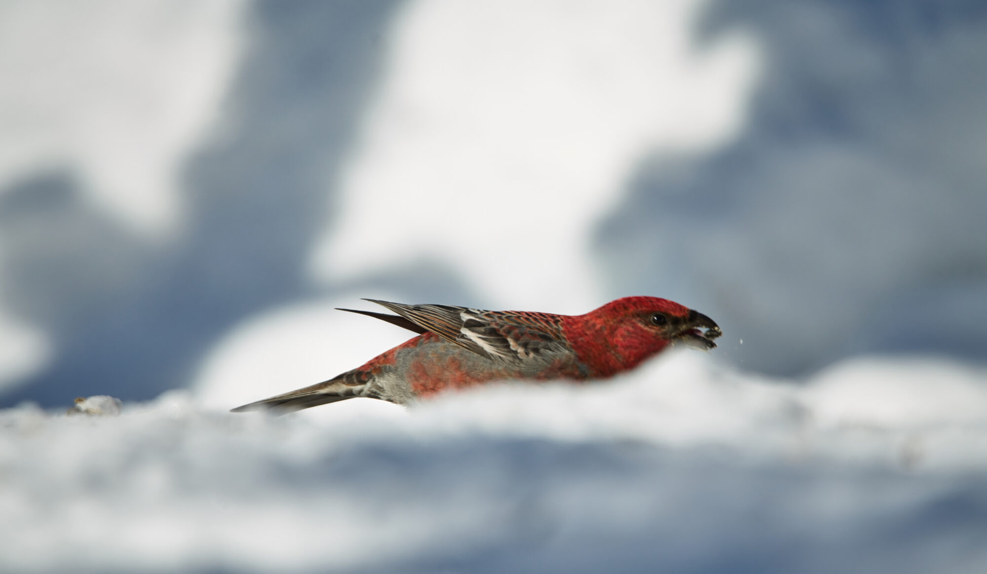 Valokuvaaja: Tarja Kouvo