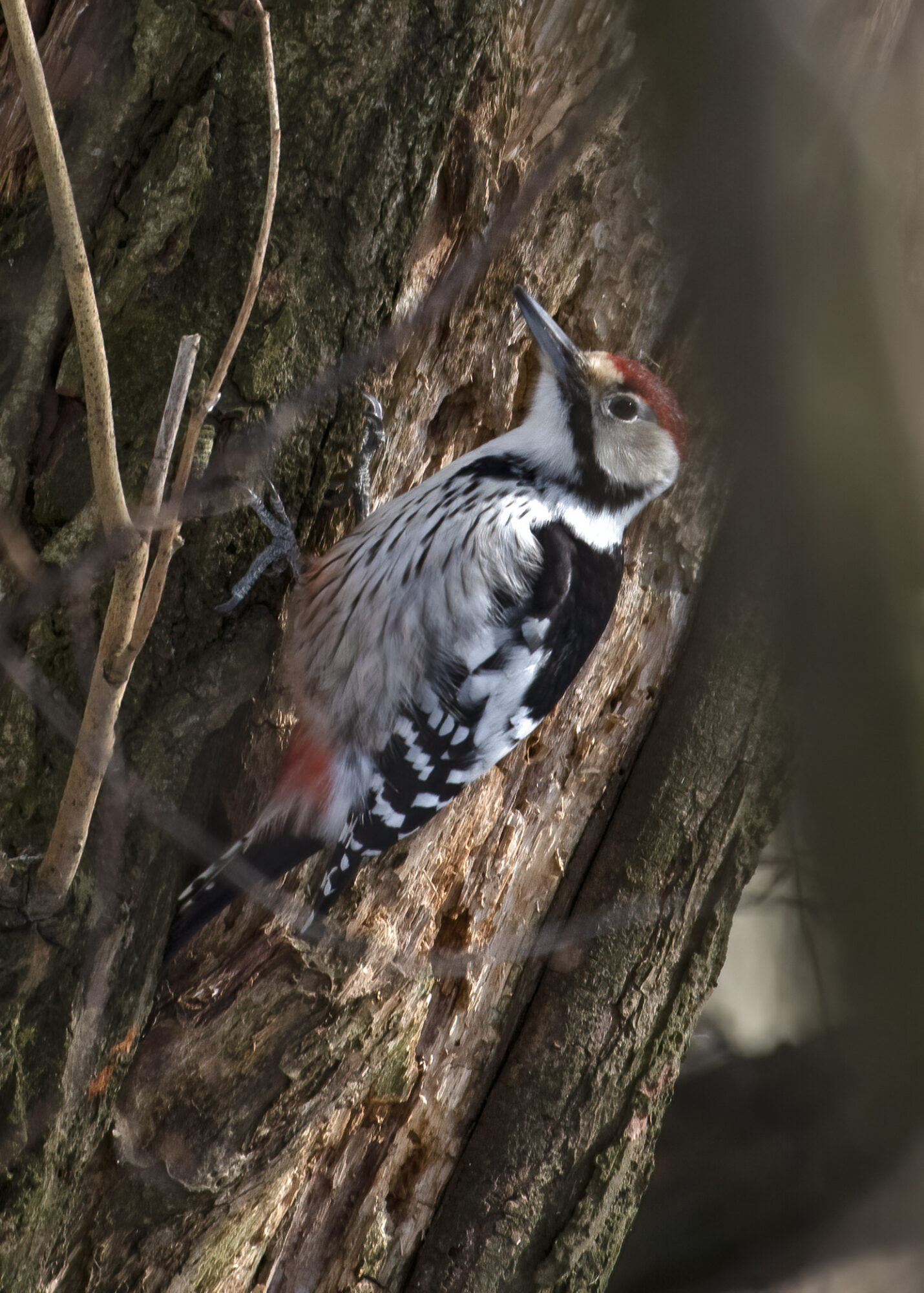Valokuvaaja: Anne Porevirta