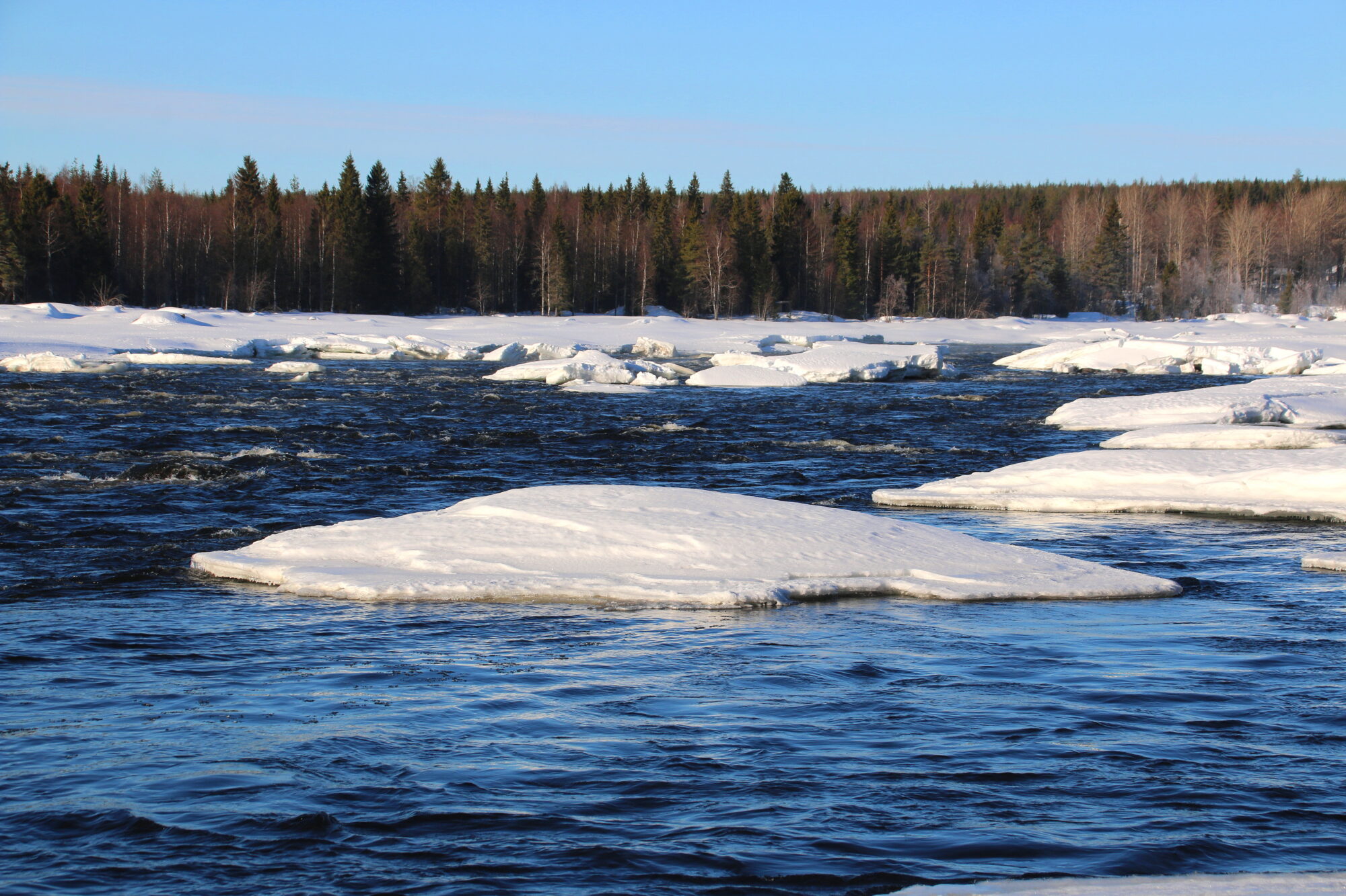 Valokuvaaja: Tuukka Pahtamaa