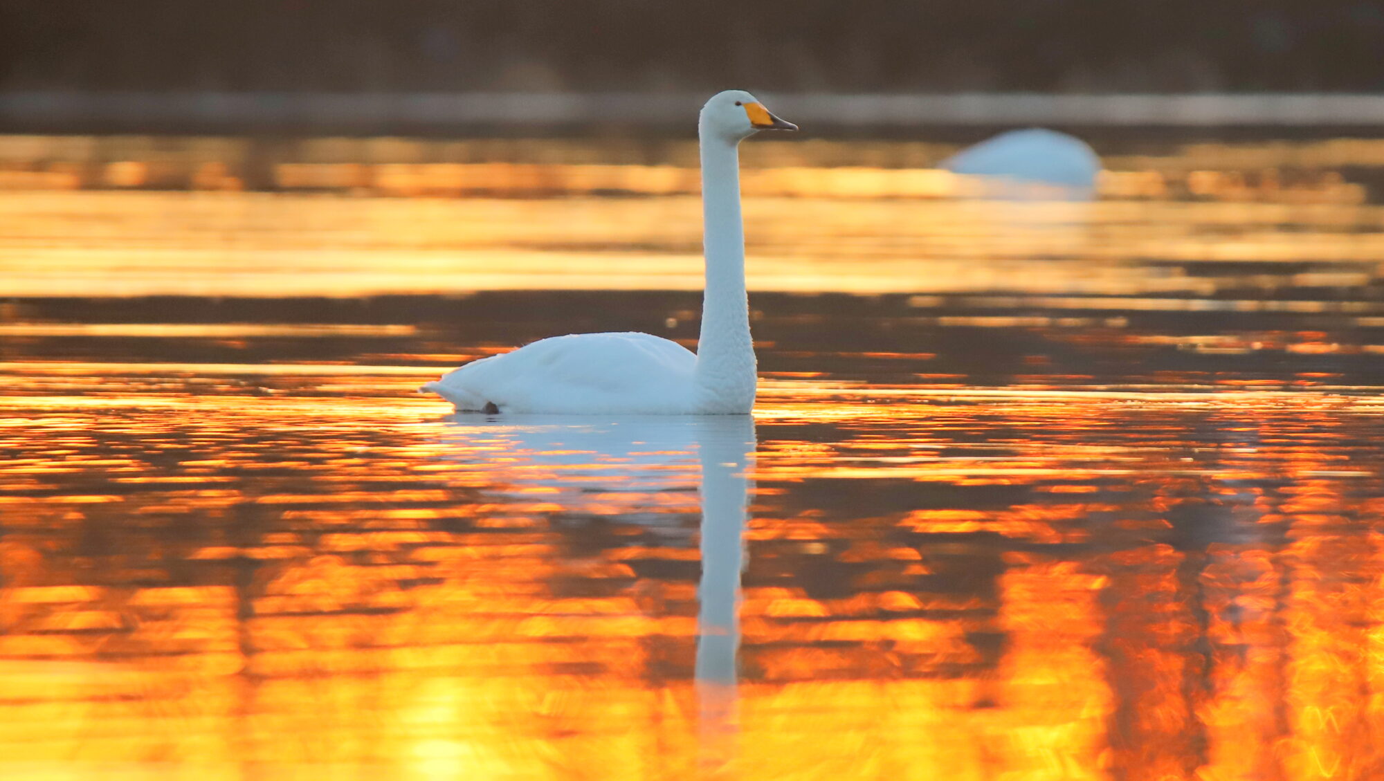 Valokuvaaja: sirpa Jyske