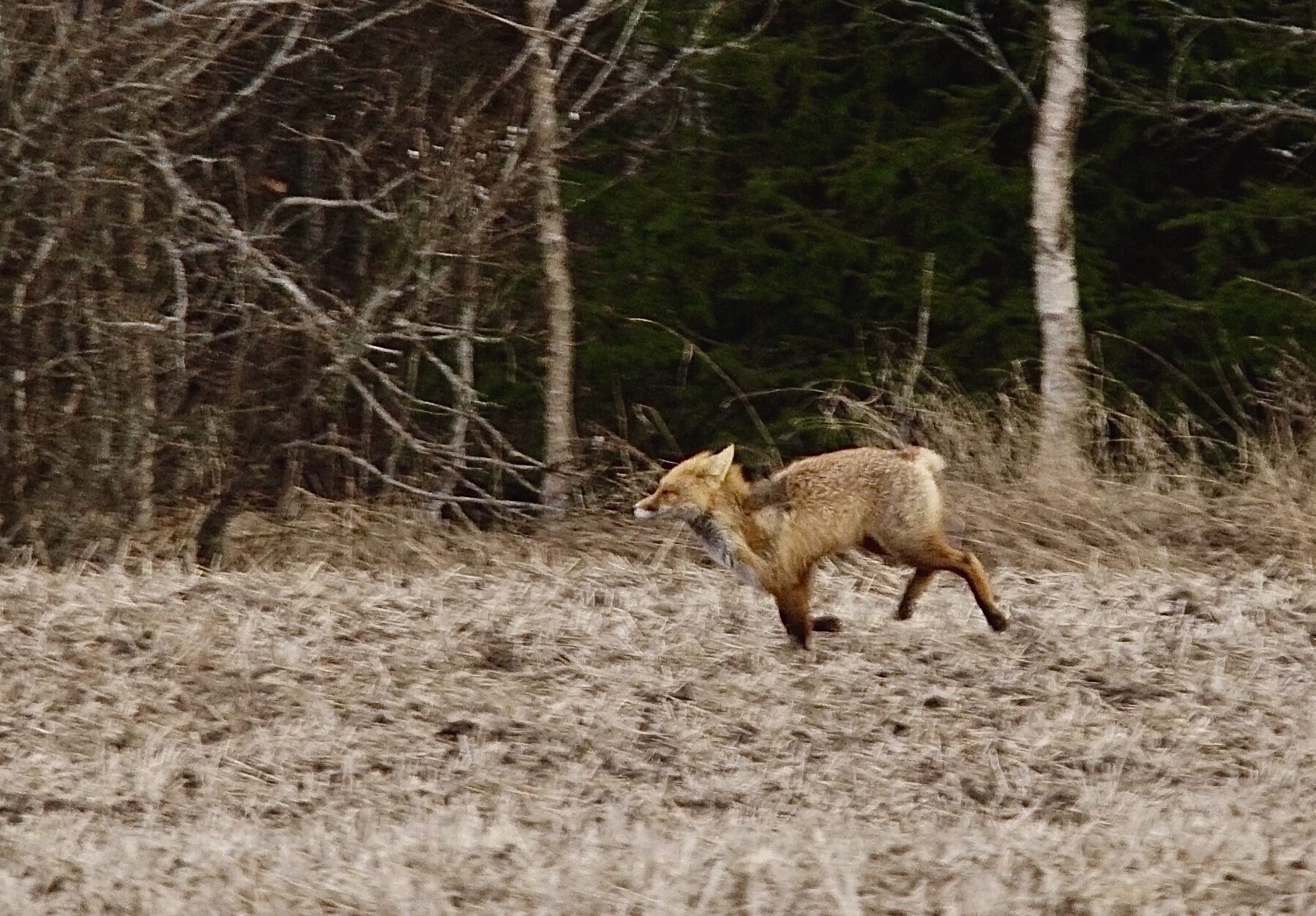 Valokuvaaja: Markku Ranta-Eilola