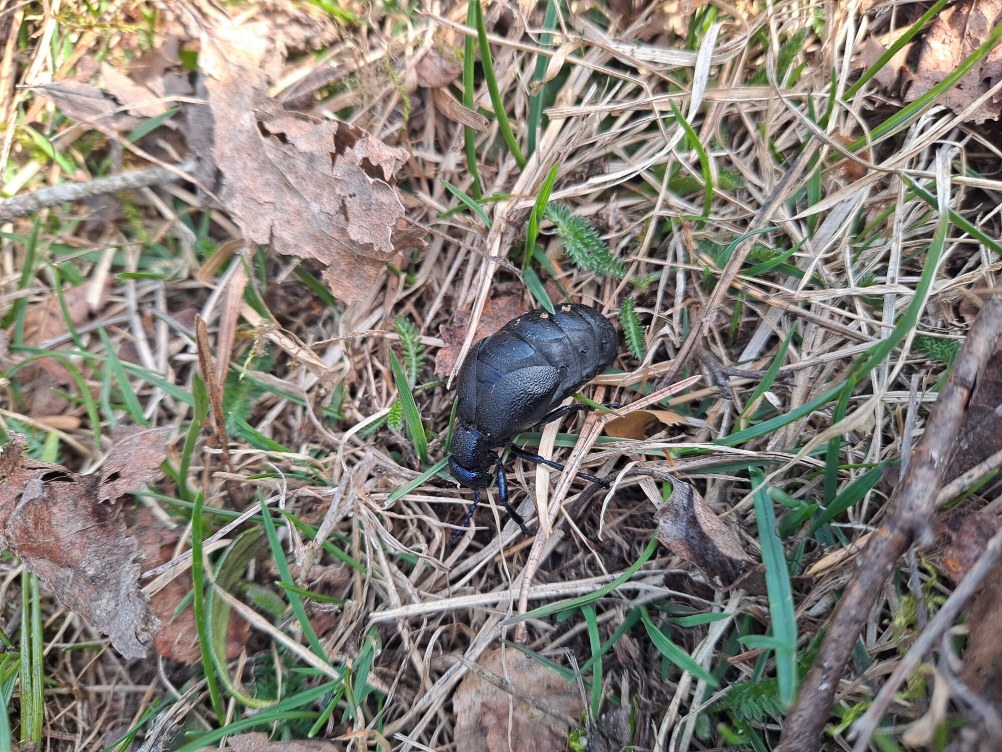 Valokuvaaja: Timo tyrmi