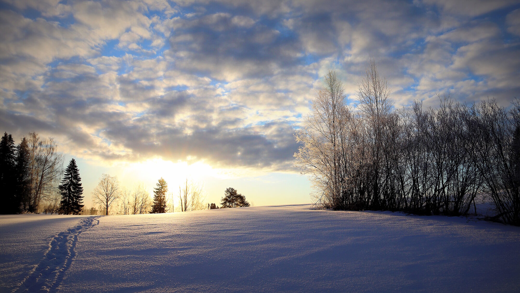 Valokuvaaja: sirpa Jyske
