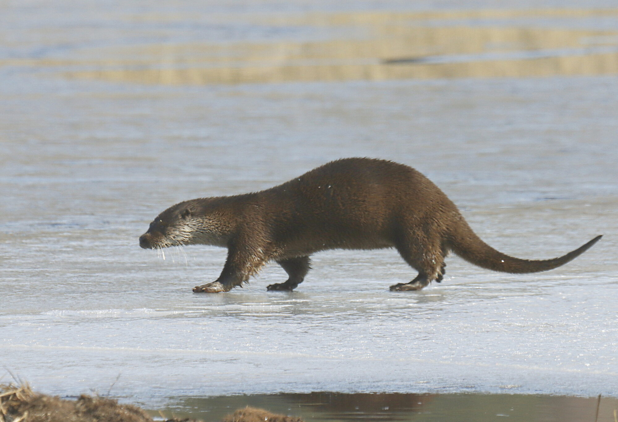 Valokuvaaja: Ritva Nieminen