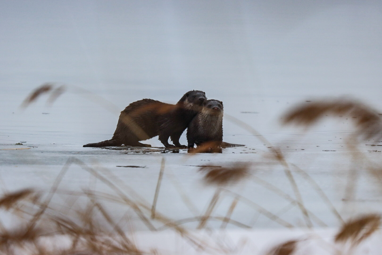 Valokuvaaja: Jonne Hiltunen