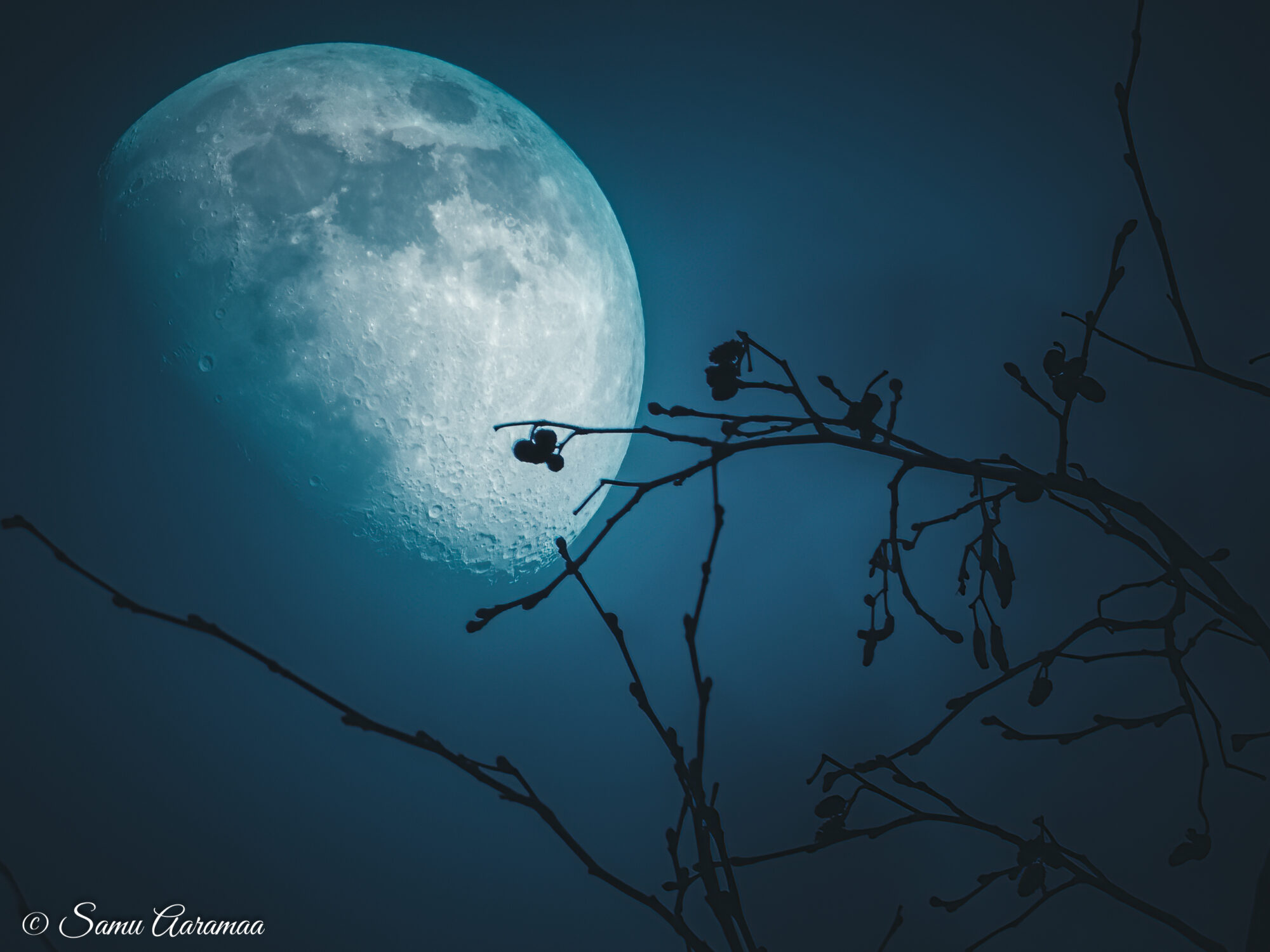 Valokuvaaja: Samu Aaramaa