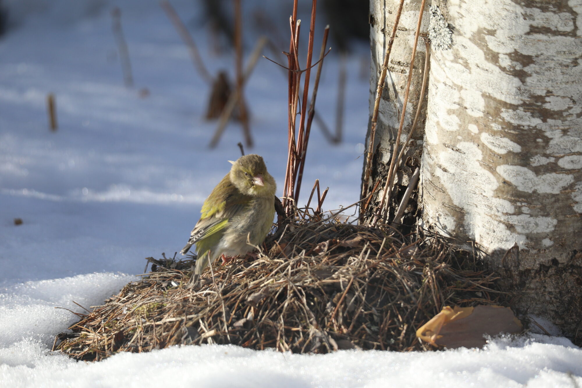 Valokuvaaja: Pasi Lähde