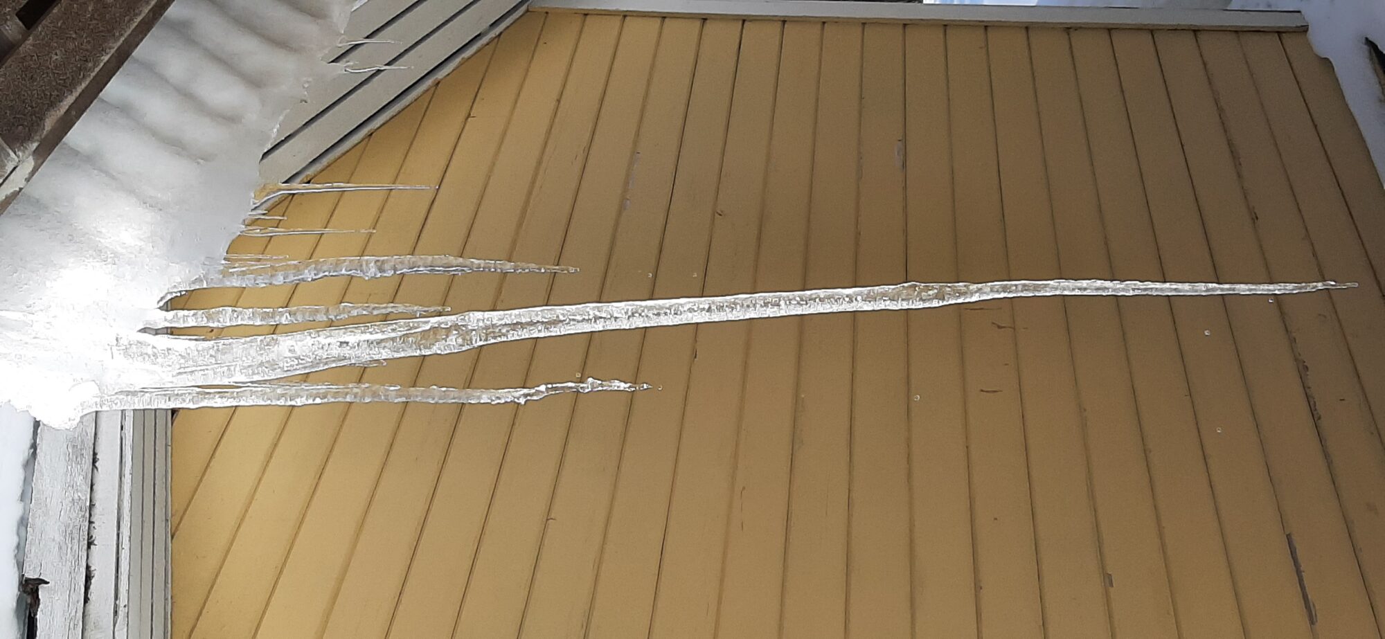 Valokuvaaja: Auli Feldt