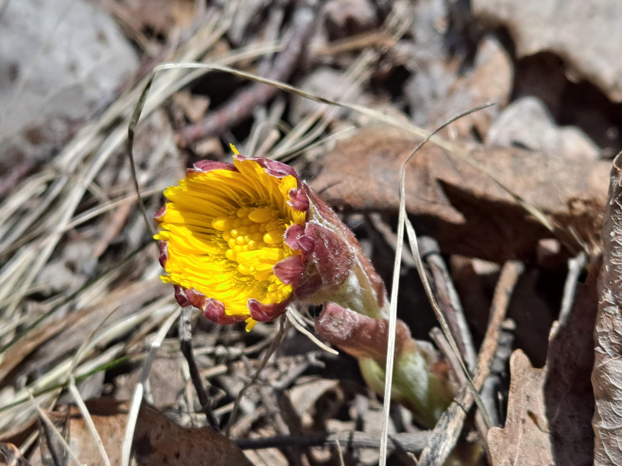 Valokuvaaja: Satu Suuntala