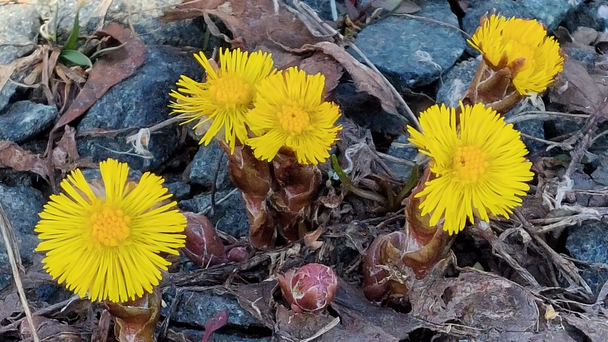 Valokuvaaja: Tarja Naukkarinen