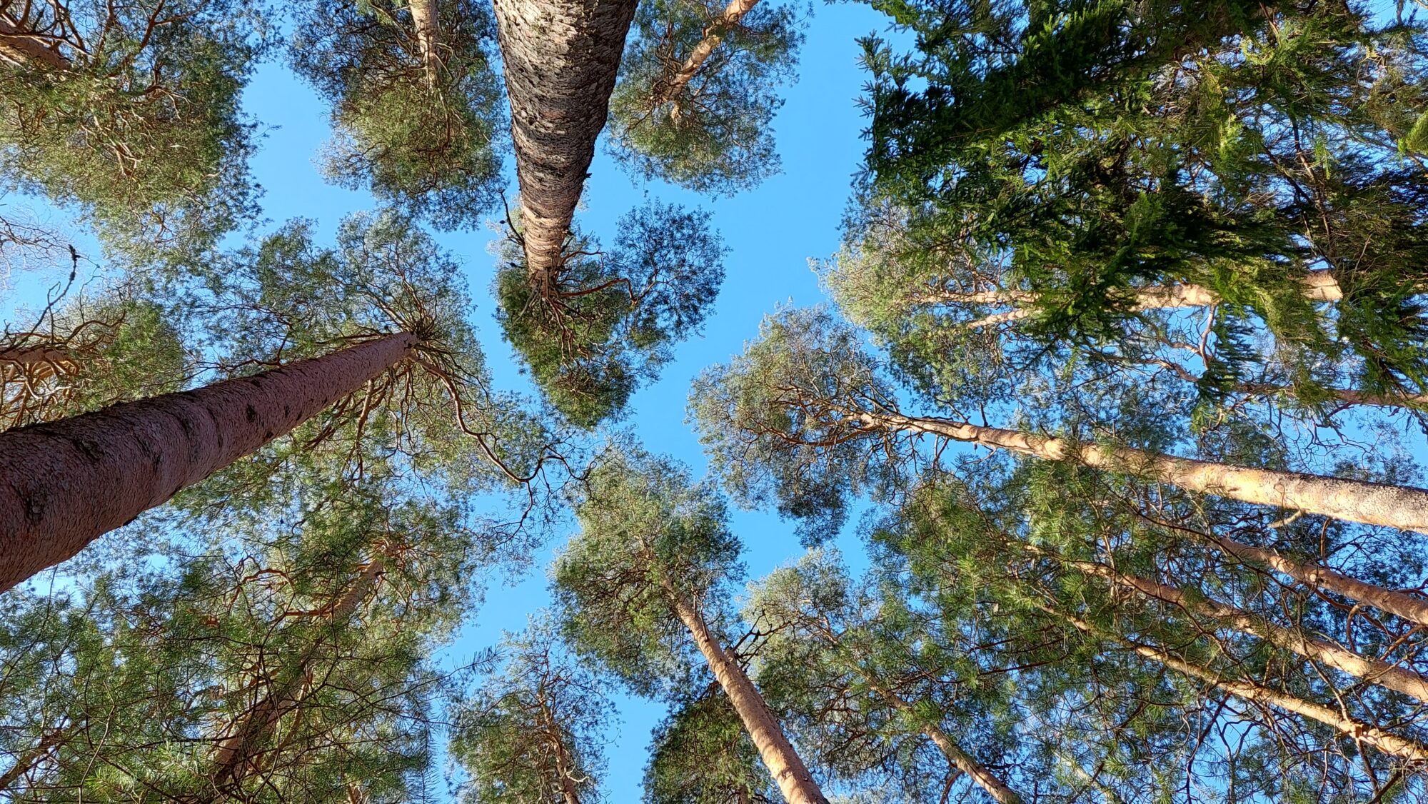 Valokuvaaja: Tarja Naukkarinen