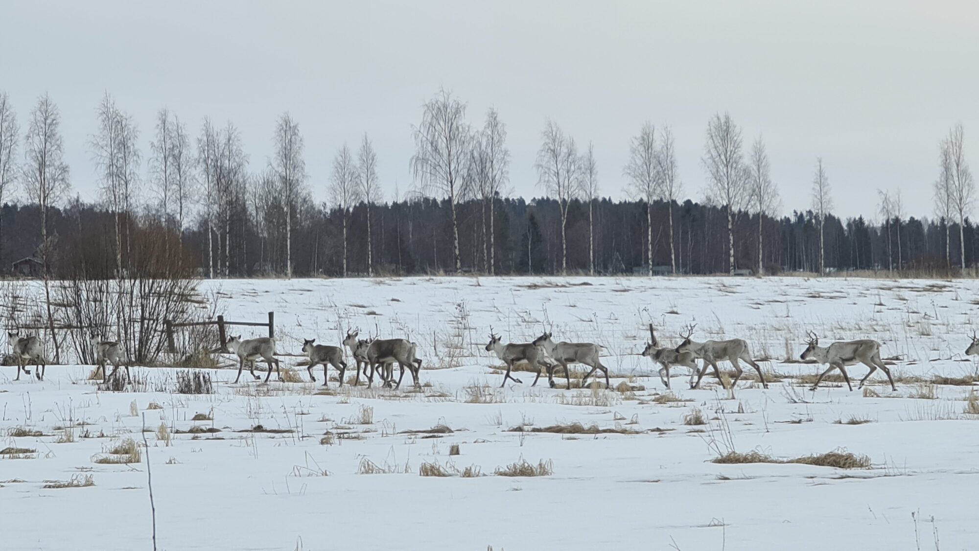 Valokuvaaja: Matti Linjala