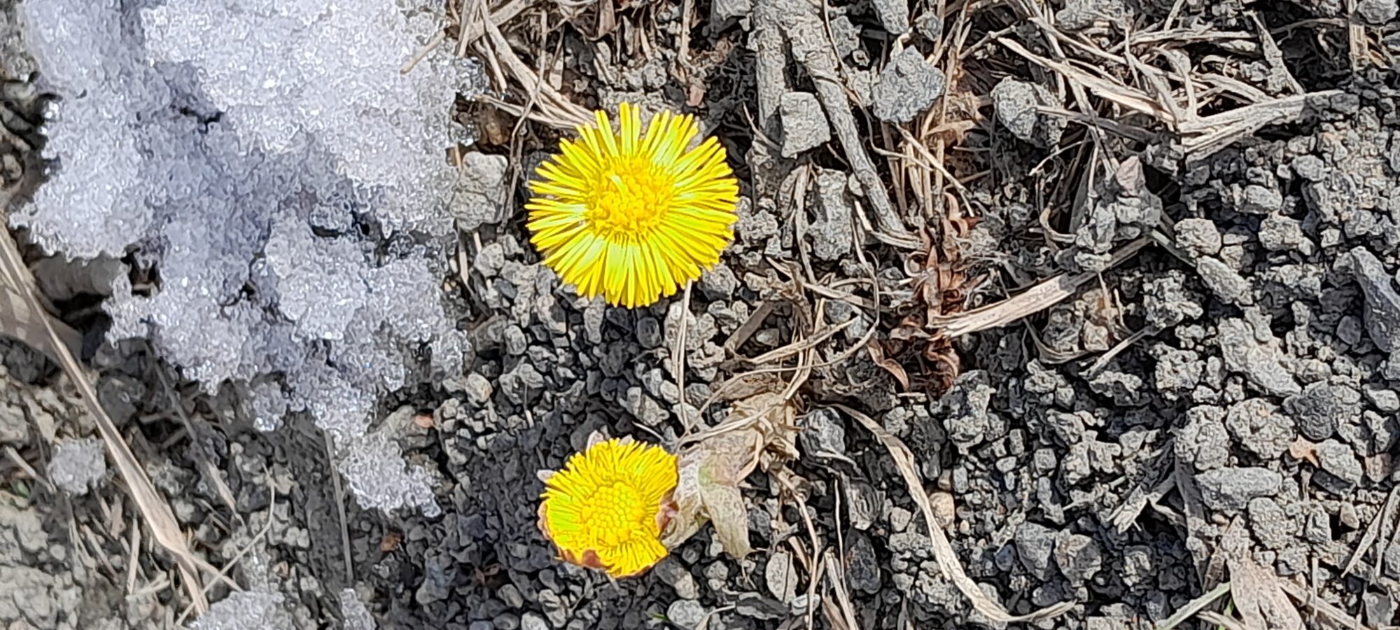 Valokuvaaja: Paula Kareinen