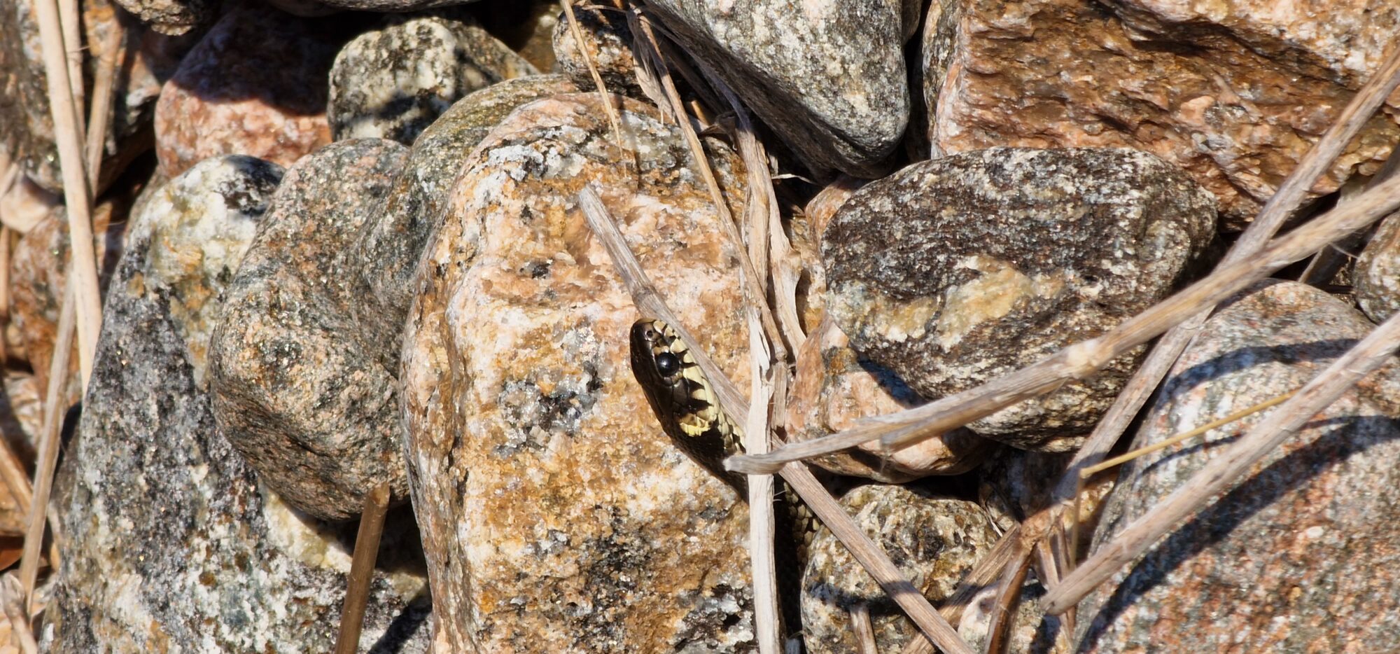 Valokuvaaja: Hanna Rönty