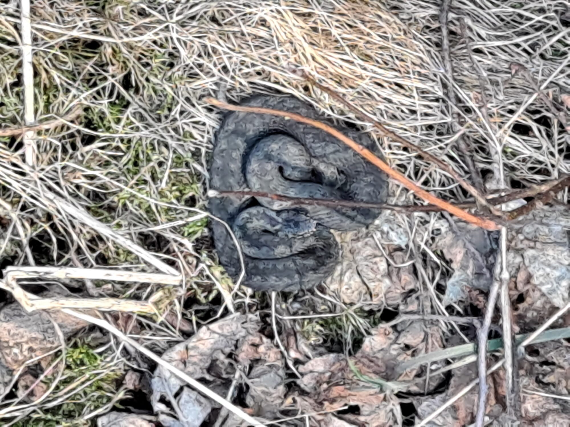 Valokuvaaja: Satu Suuntala