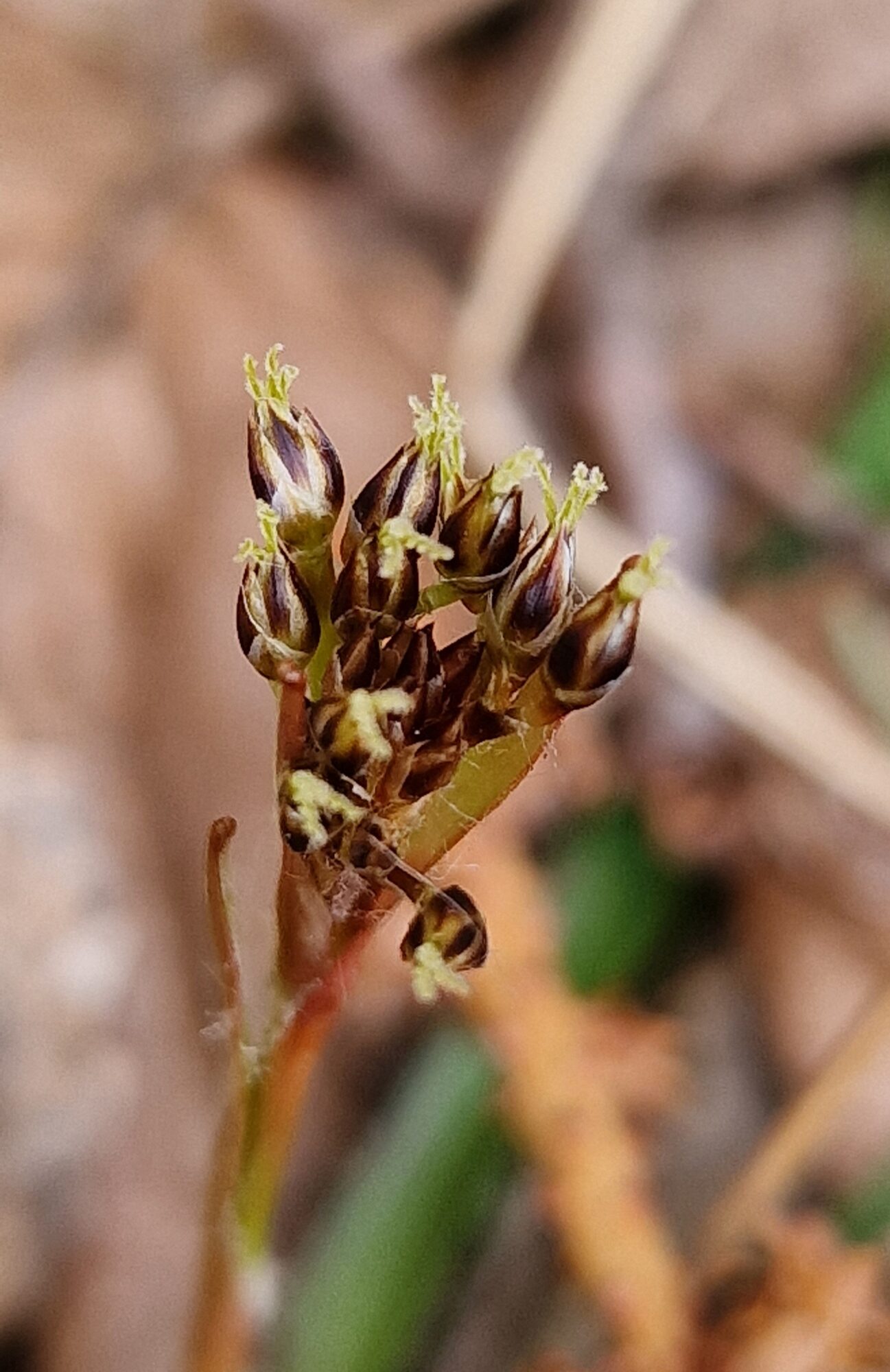 Valokuvaaja: Hanna Rönty