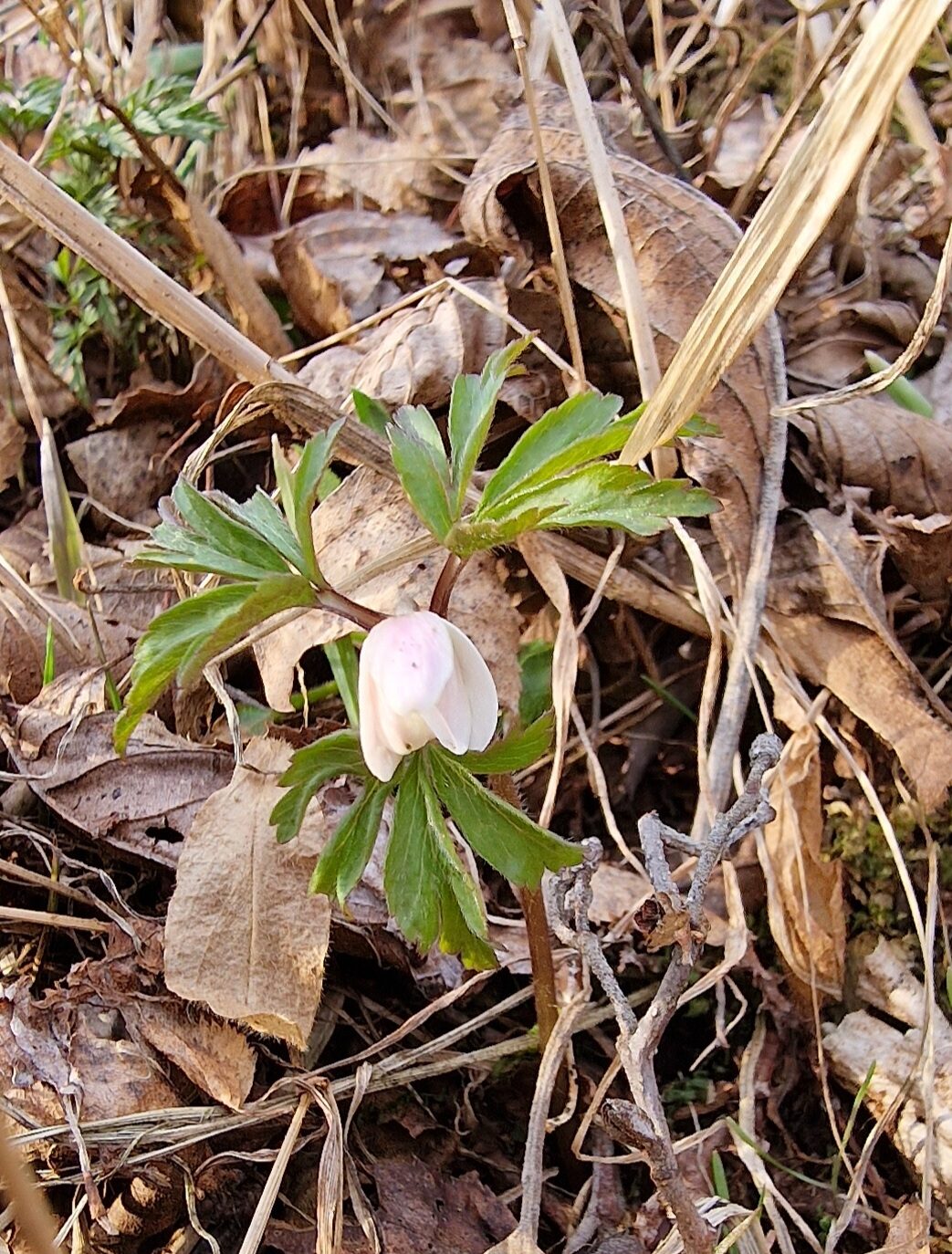 Valokuvaaja: Hanna Rönty