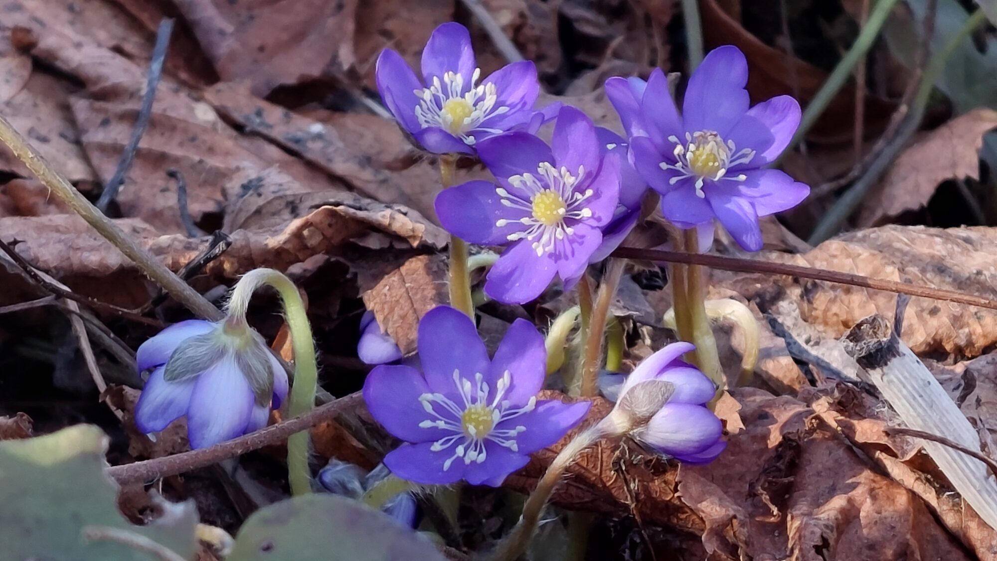 Valokuvaaja: Tarja Naukkarinen