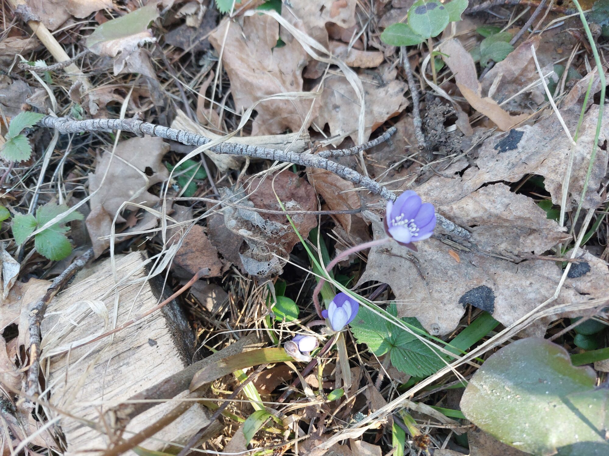 Valokuvaaja: Tarja Järvinen