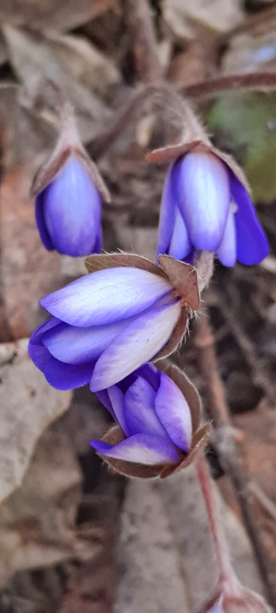 Valokuvaaja: Raisa Vuokola Valokuvaaja: Raisa Vuokola