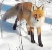 Valokuvaaja: Hannu Rissanen