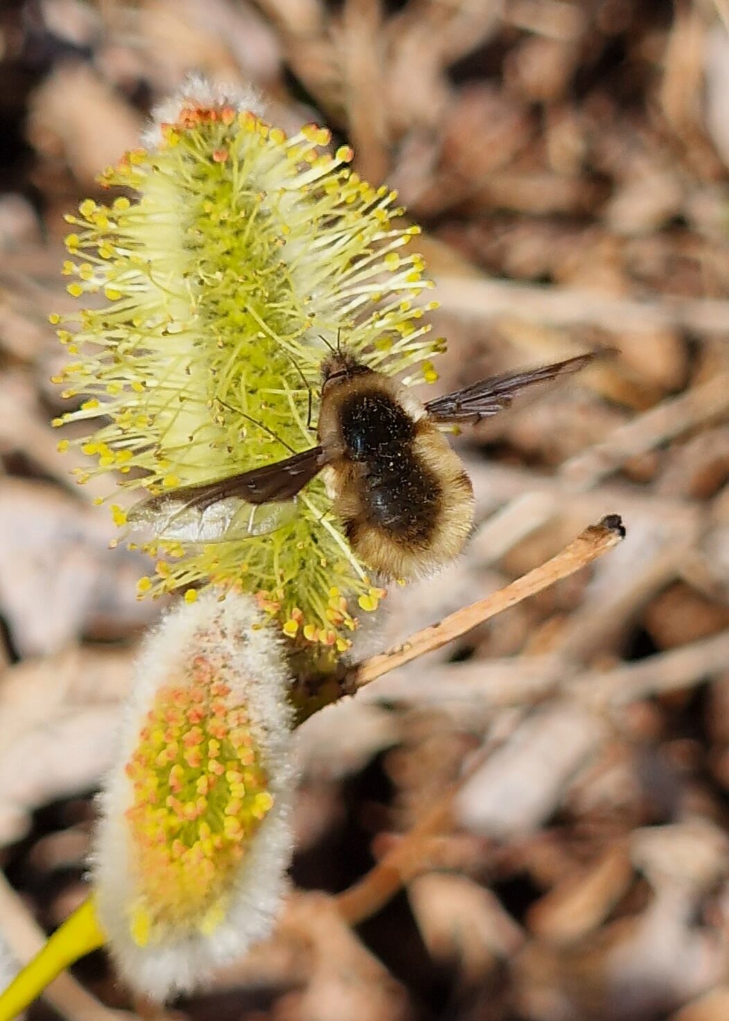 Valokuvaaja: Hanna Rönty
