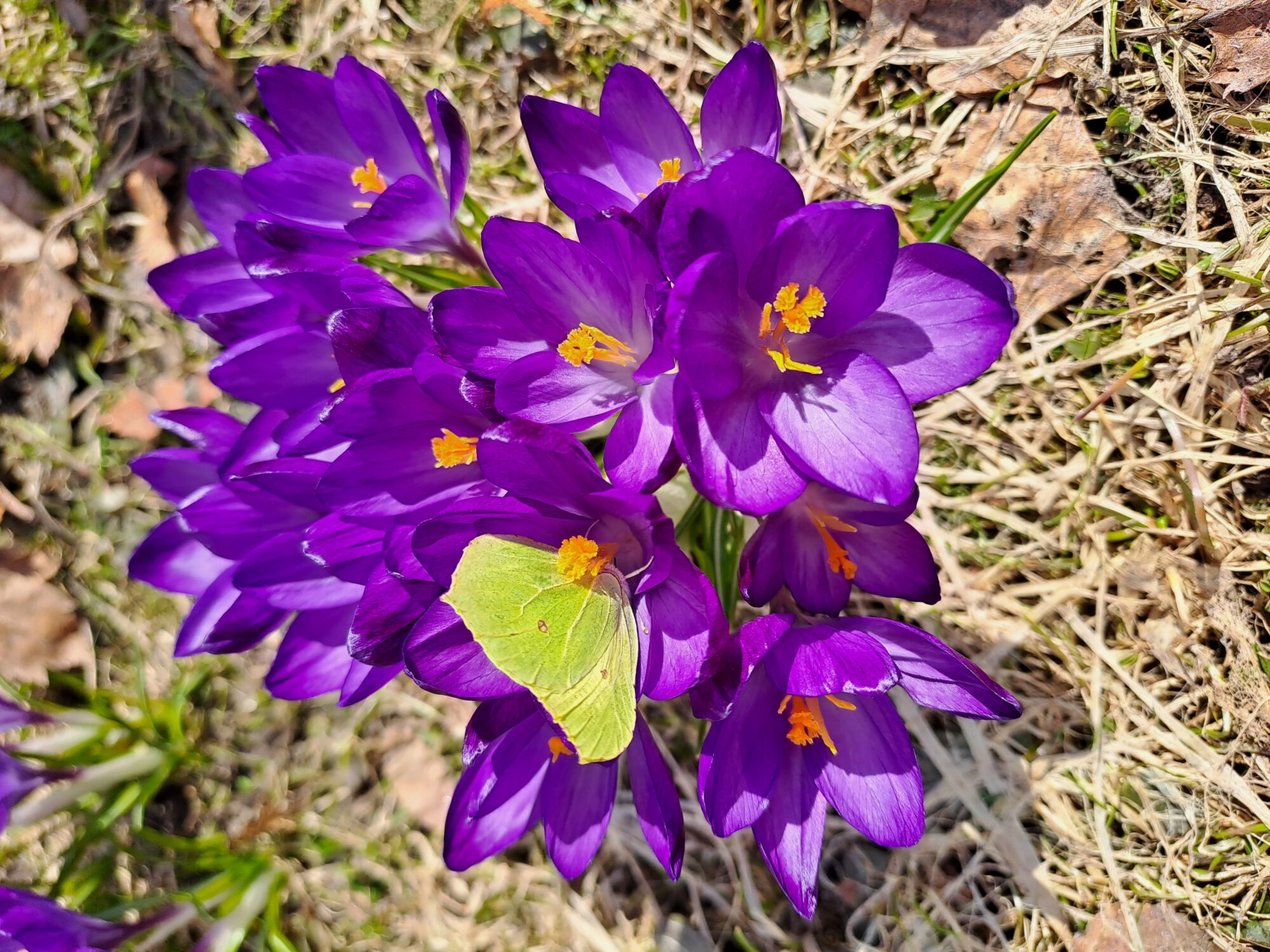 Valokuvaaja: Eija Johanna Saastamoinen