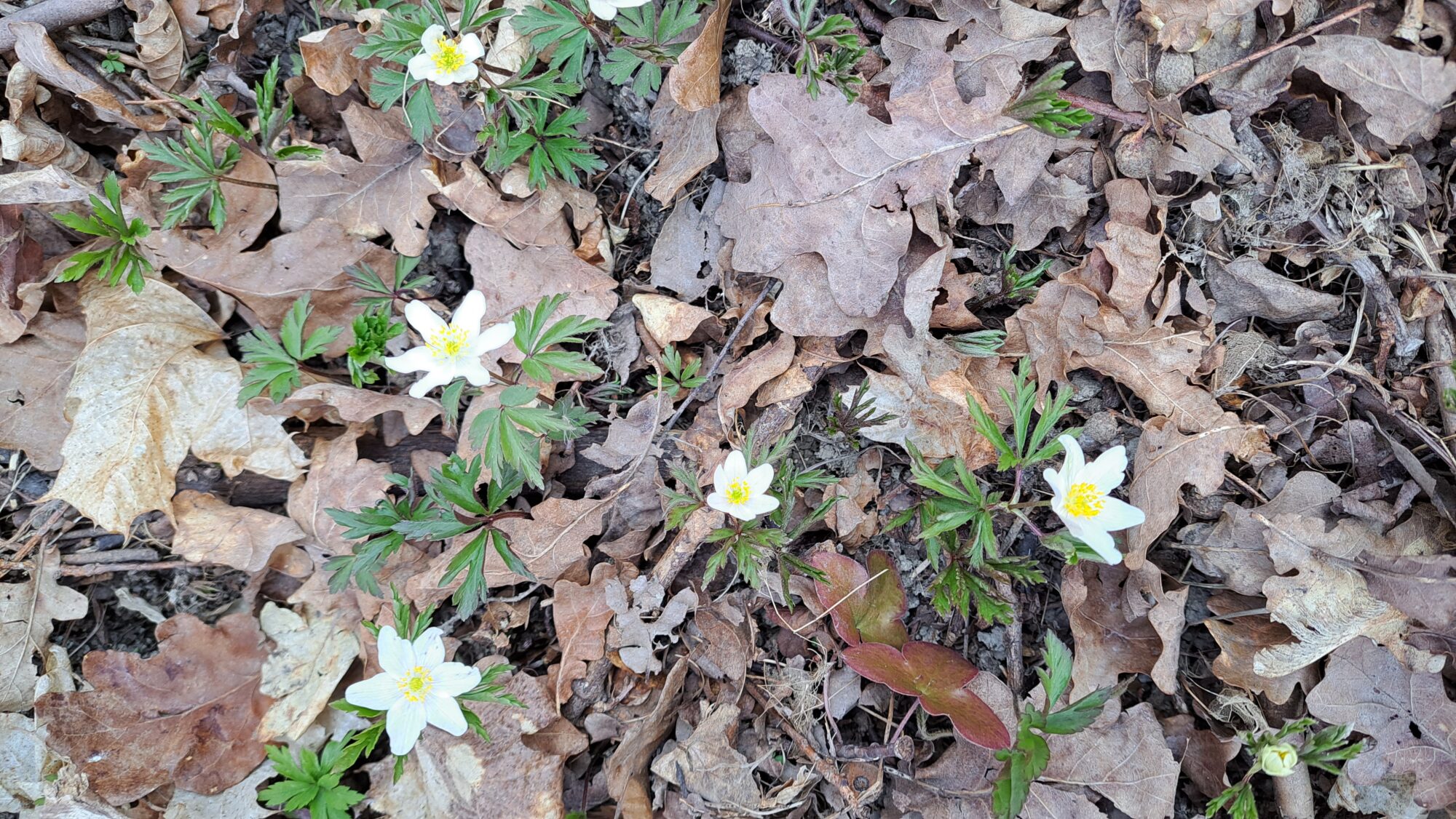 Valokuvaaja: Sirpa Jussila Valokuvaaja: Sirpa Jussila